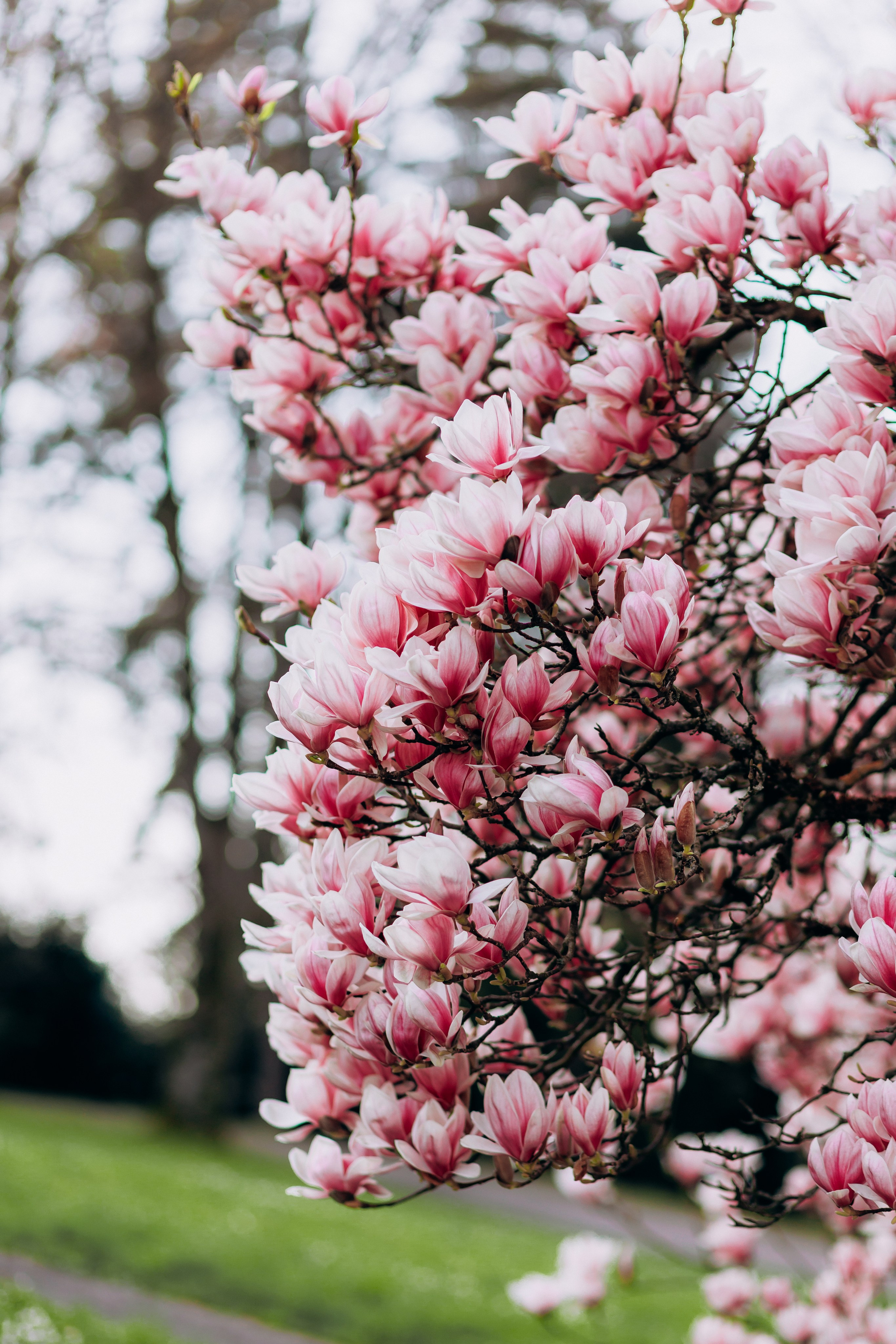 Tatiana, Alisa, Daria. Wedding and Family Photograph
