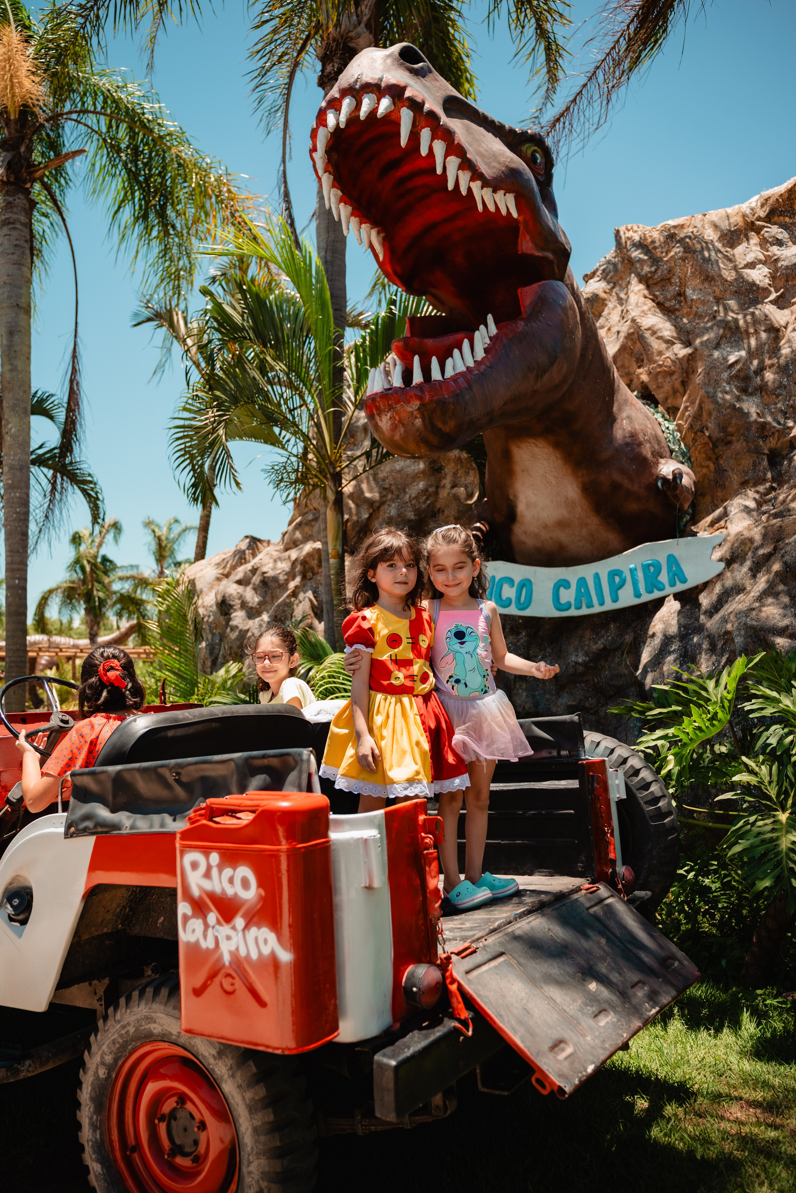 OS 5 anos da Bianca. Fotografo de casamentos e famílias no Espirito Santo — Marllus Milanez