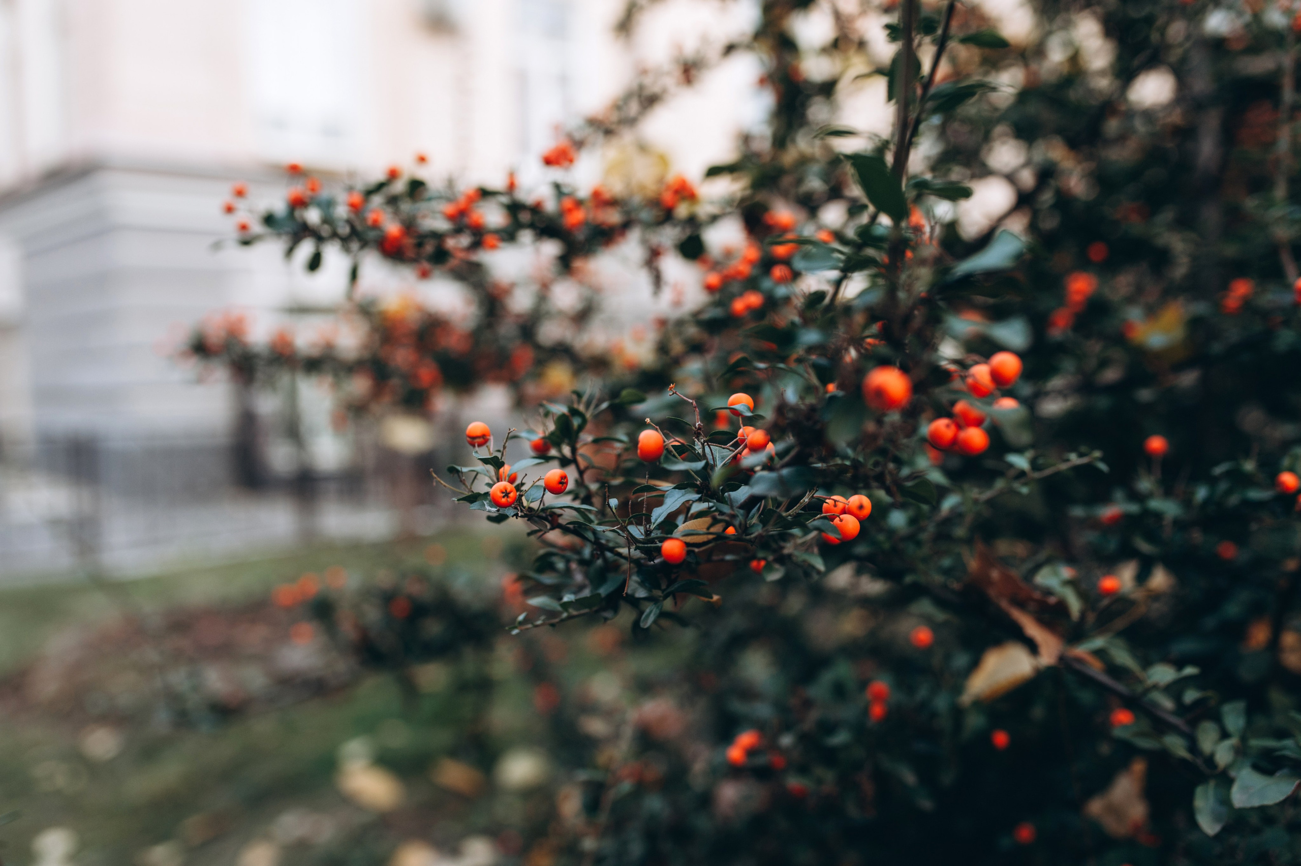 Anna & Serhii. Familien- und Hochzeitsfotografin. Ich arbeite in Koblenz und Rheinlan