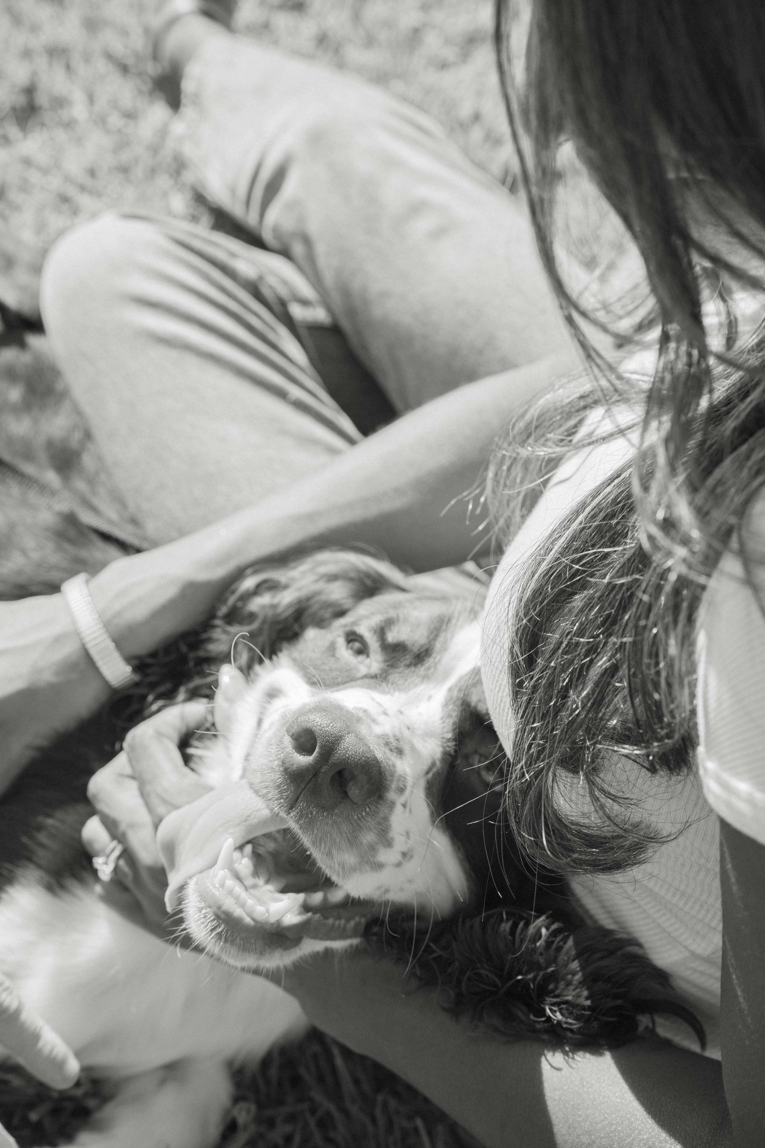 Sit. Stay. Love. Another love story shoot. Portrait, family, maternity & wedding photography & videography in SoCal Kseni Vibe