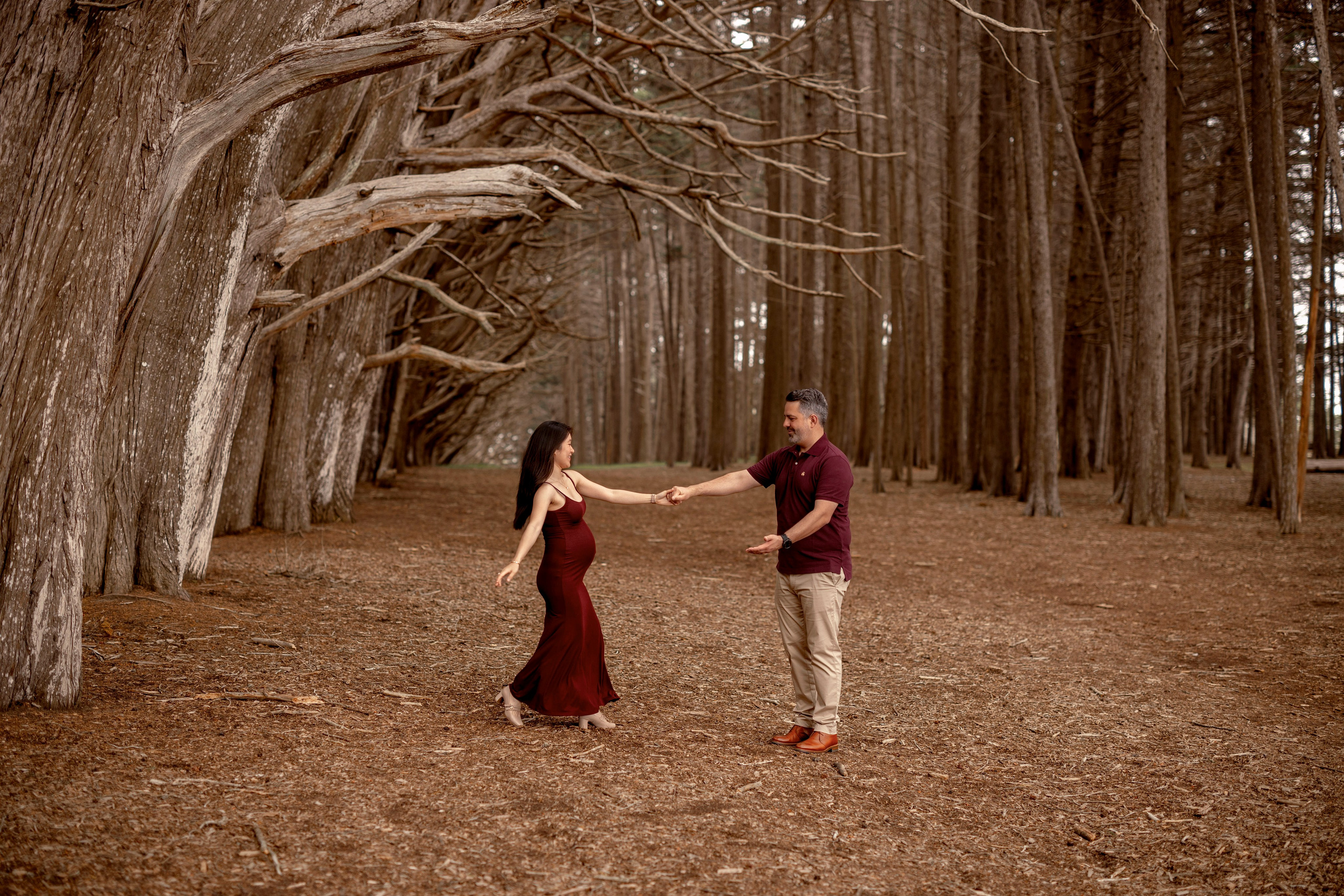 Forest. Bay Area Photographer: family, maternity, love story, wedding