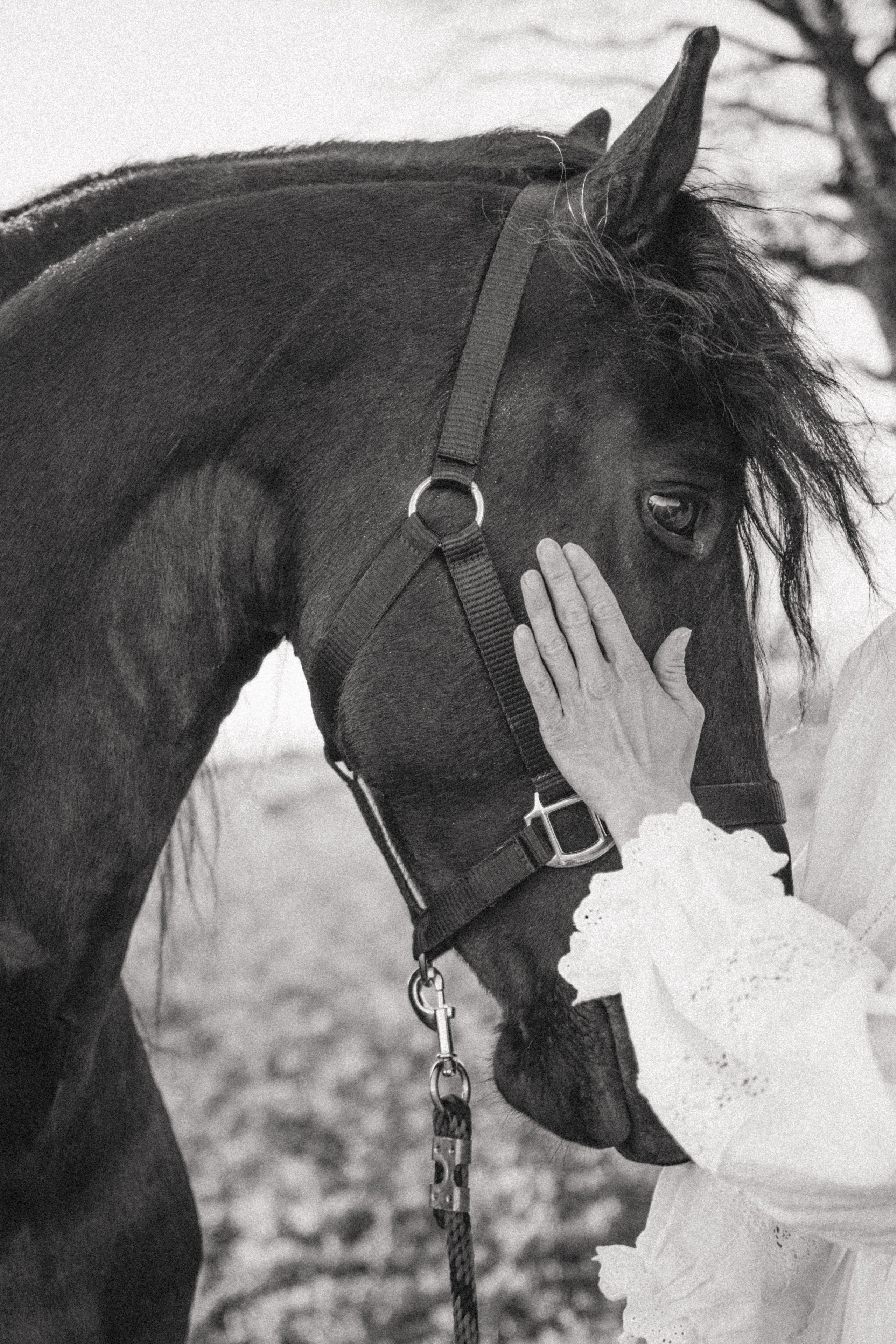 Marharyta&Veron. VOLKOVA OLGA