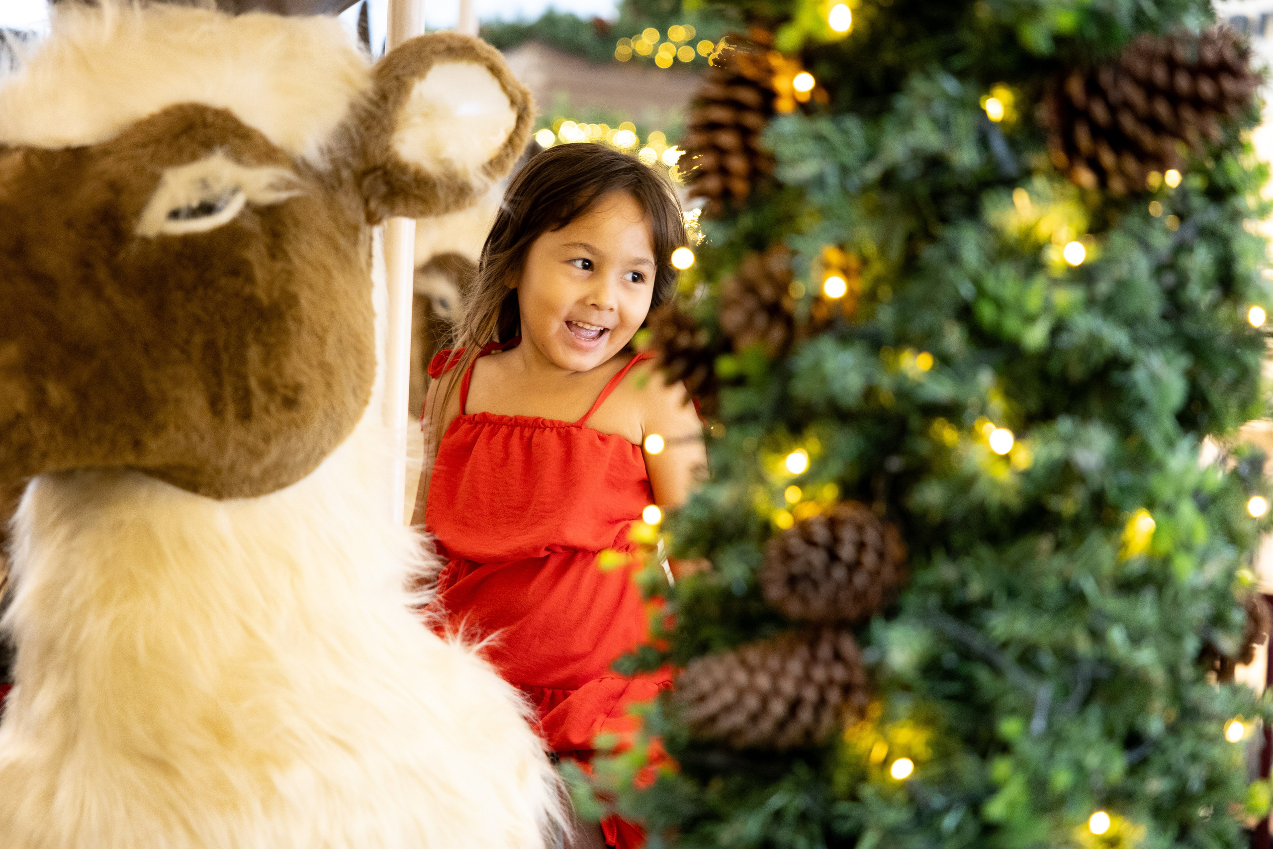 Festas e Eventos. Priscilla Leão, fotógrafa em São Paulo