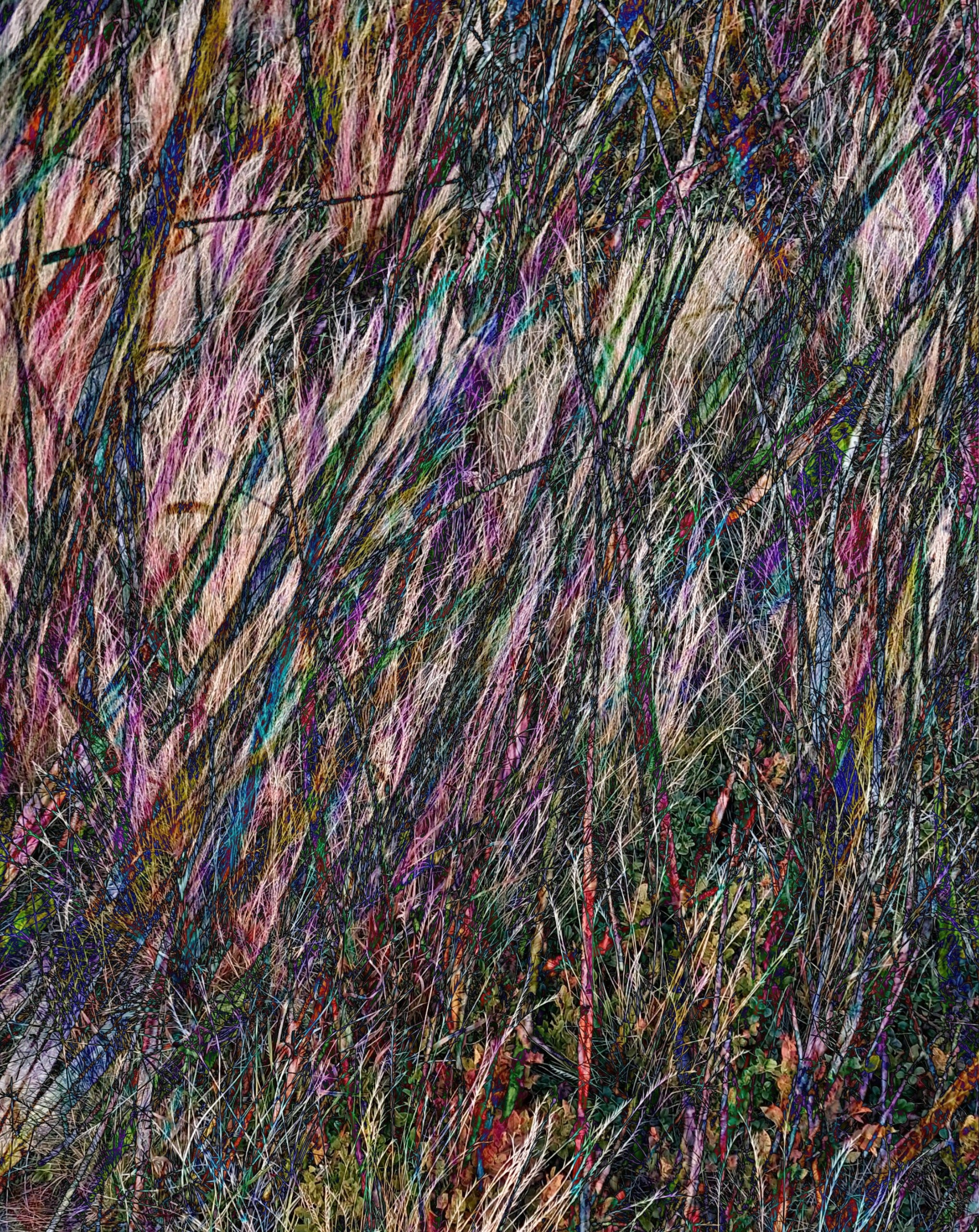 Продаж робіт. Photographer artist Liashenko Oksana