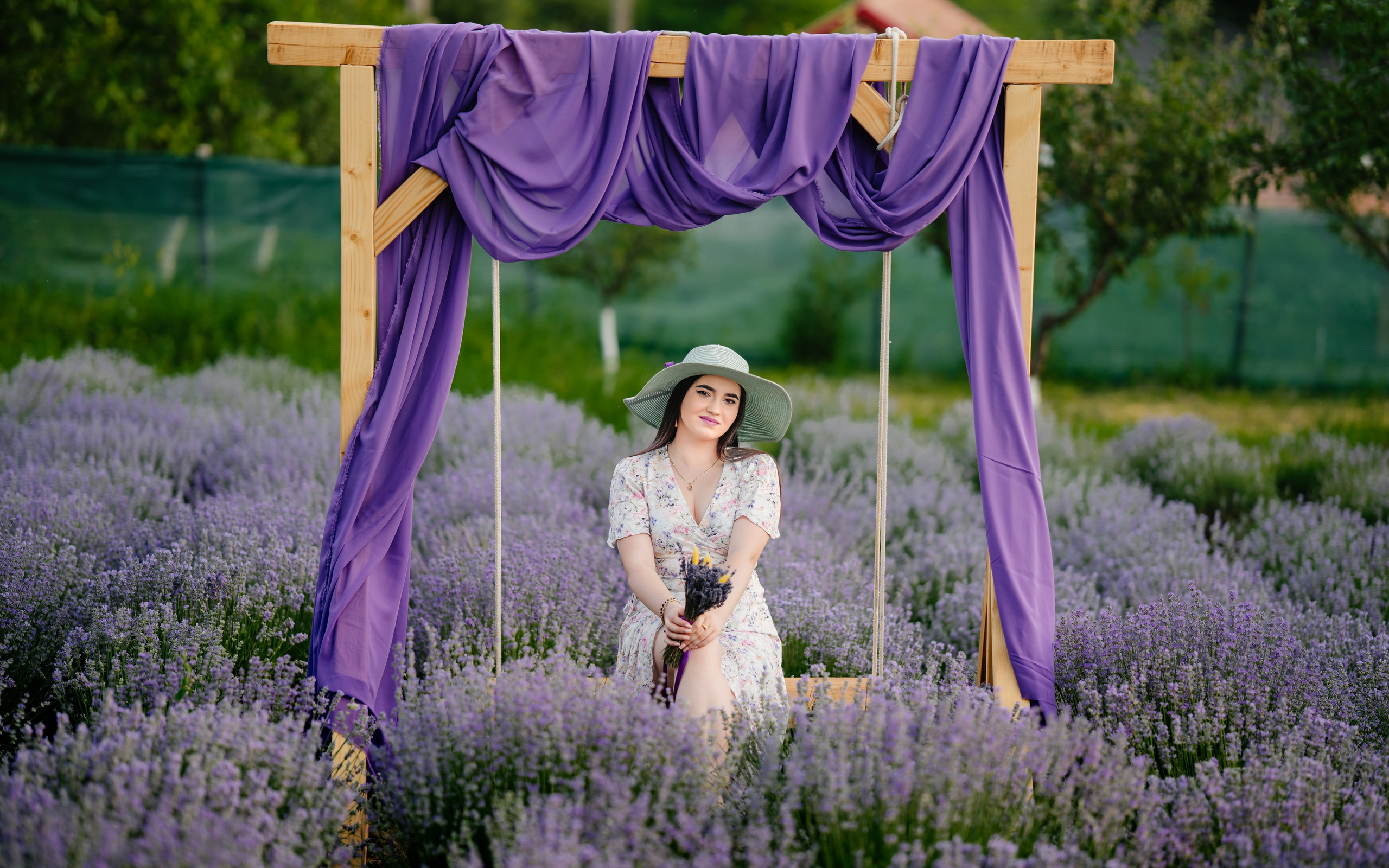 Lavanda. Daniel Films