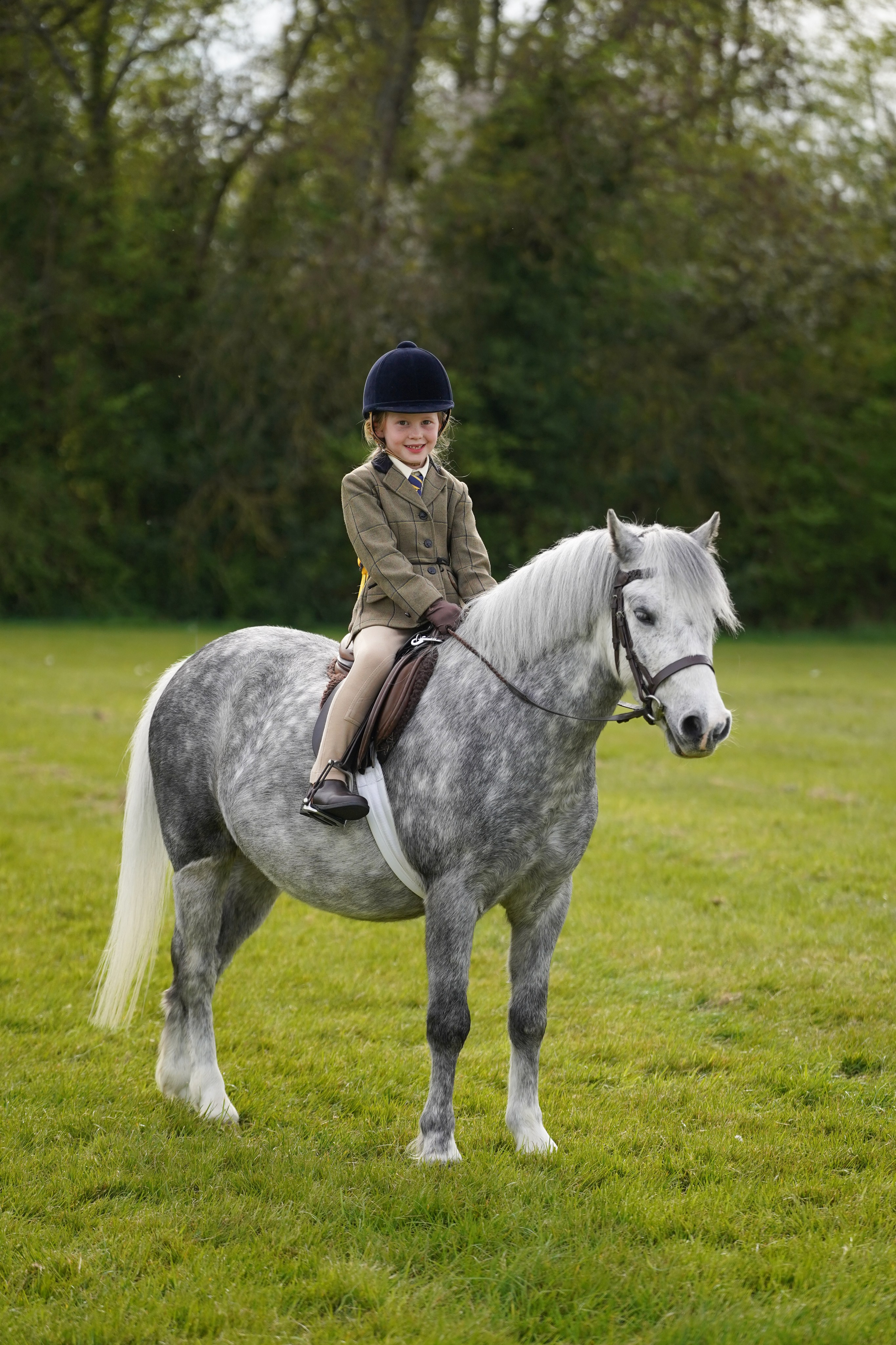 Showing. Leicestershire Equine Photography by El | Authentic Equine Portraits & Events