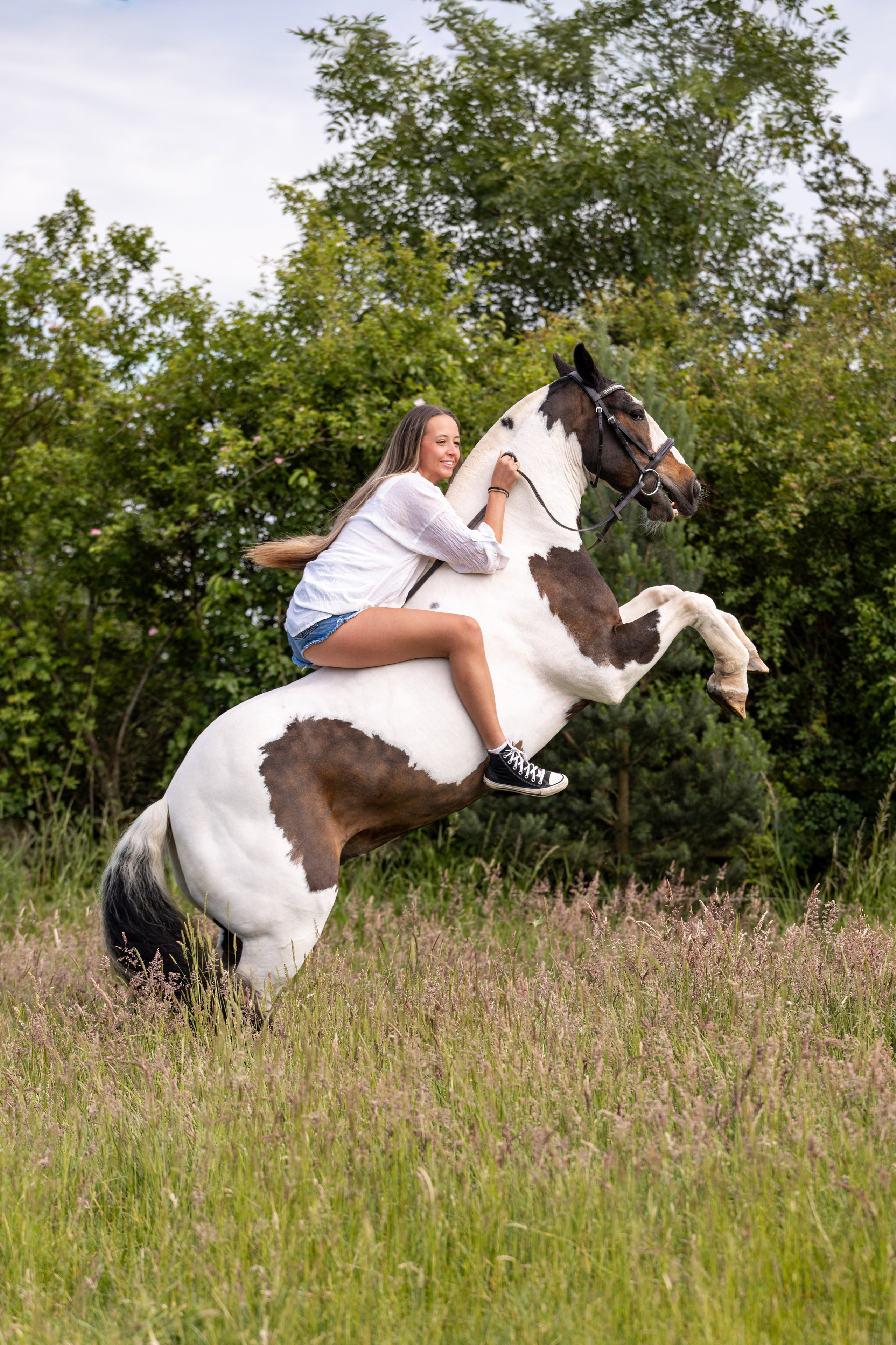 Equine Photography Portfolio | Leicestershire Horse Portrait Photographer. Leicestershire Equine Photography by El | Authentic Equine Portraits & Events