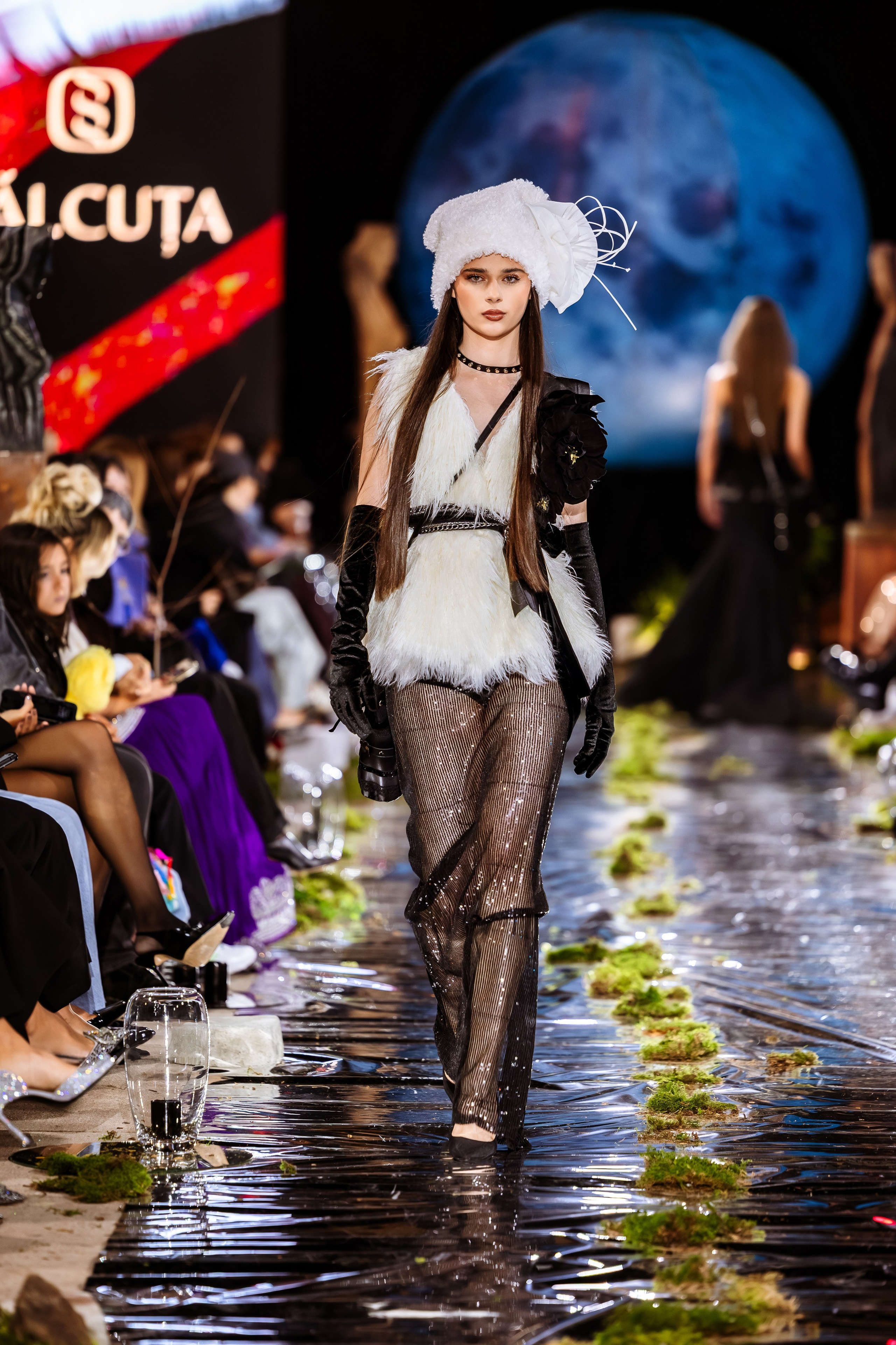 Prive. Marius Ciocan