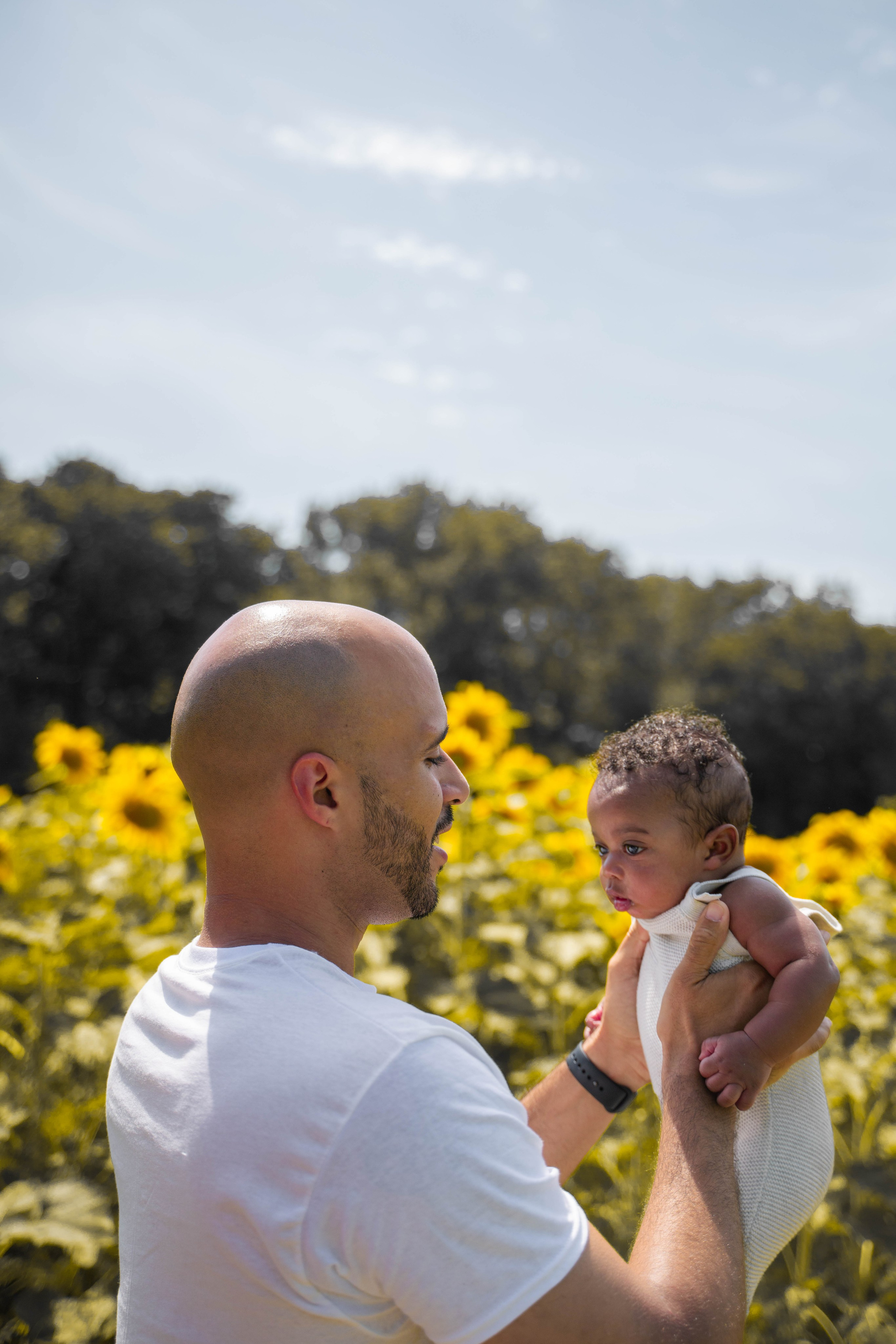 Jennifer and Louis at Sunflowers Farm. Stefanovich Photography | Boston, MA