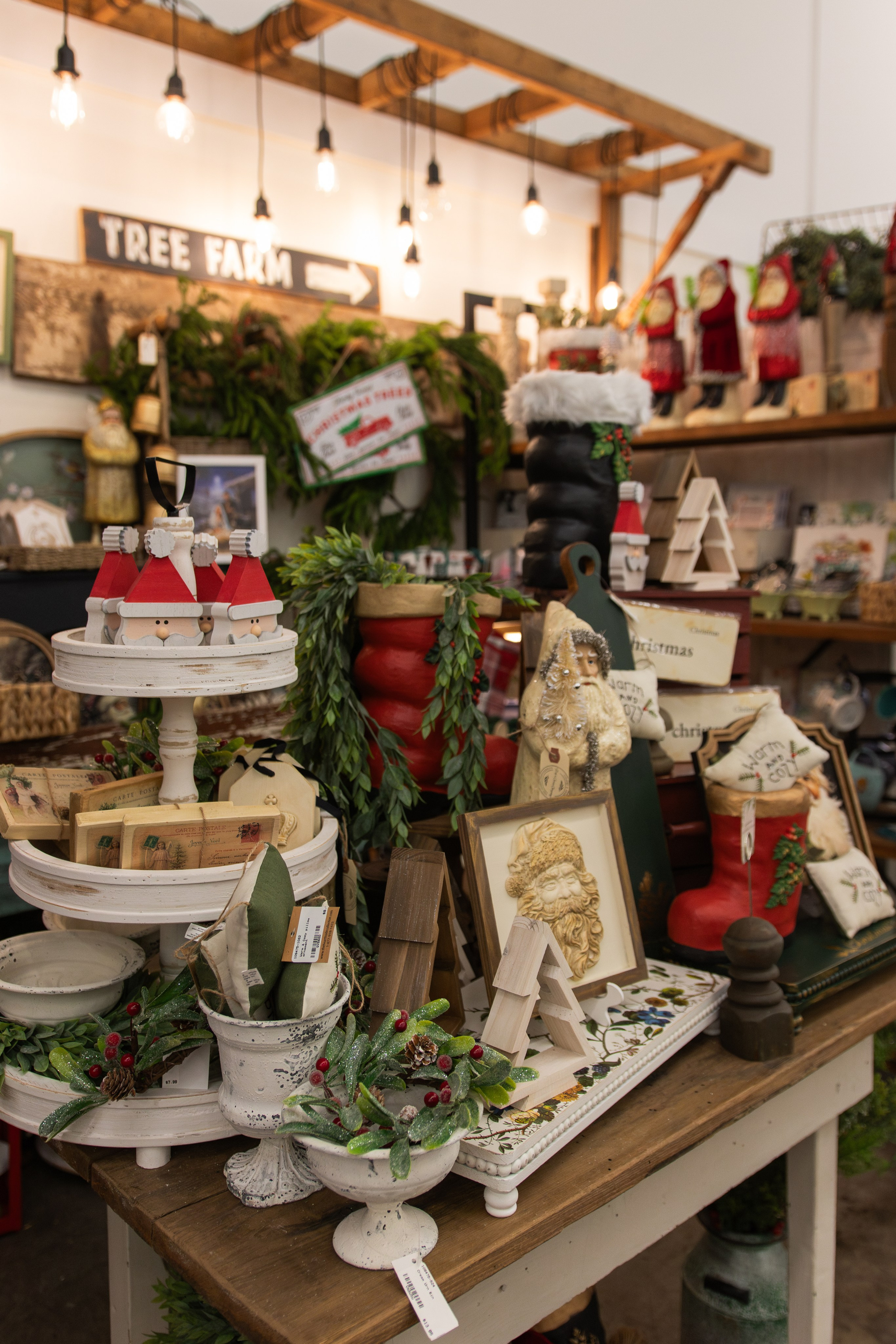 Painted Tree Boutiques Round Rock winter retail photoshoot collection