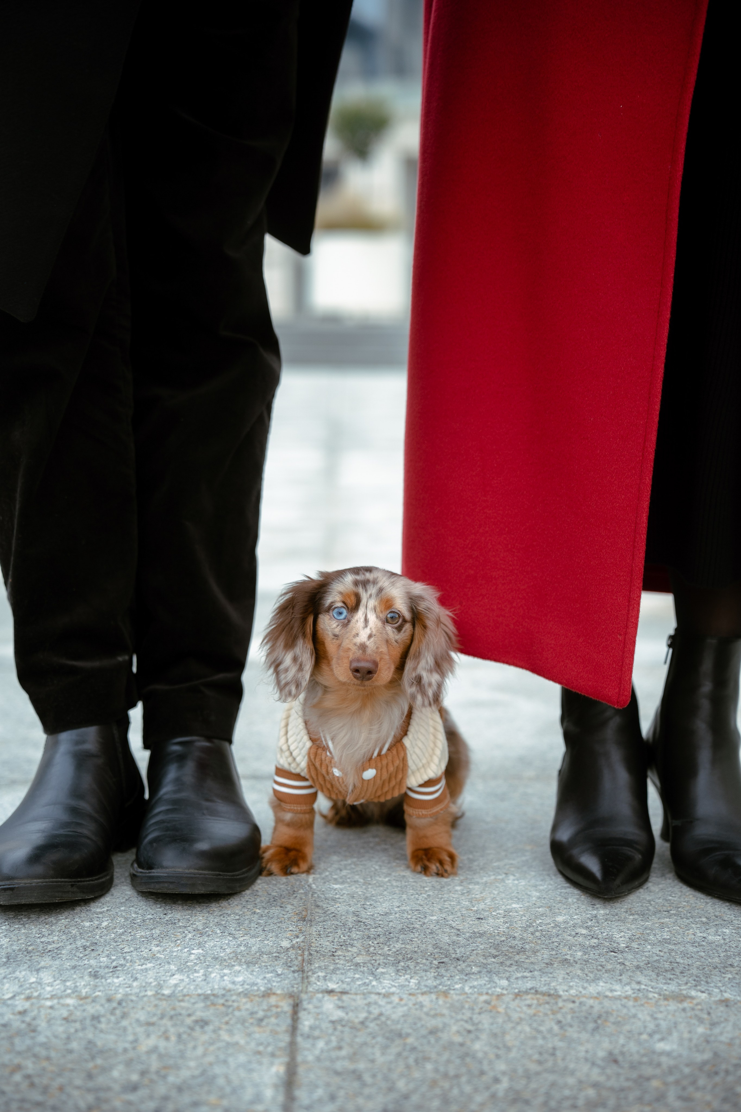 Olga, Christian & Isildur. Photo Vienna and Bratislava