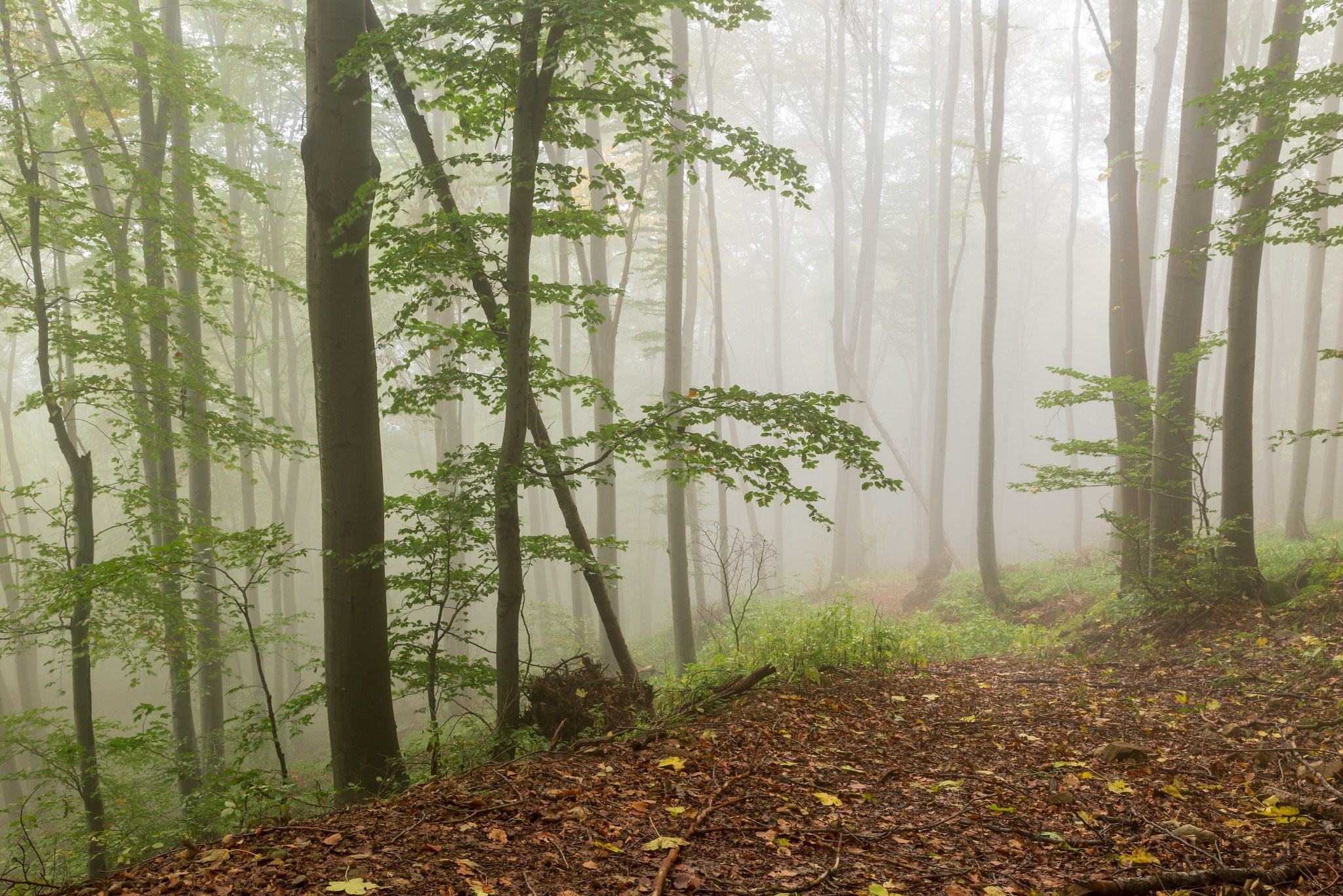 Планини. Александър Сандев - website