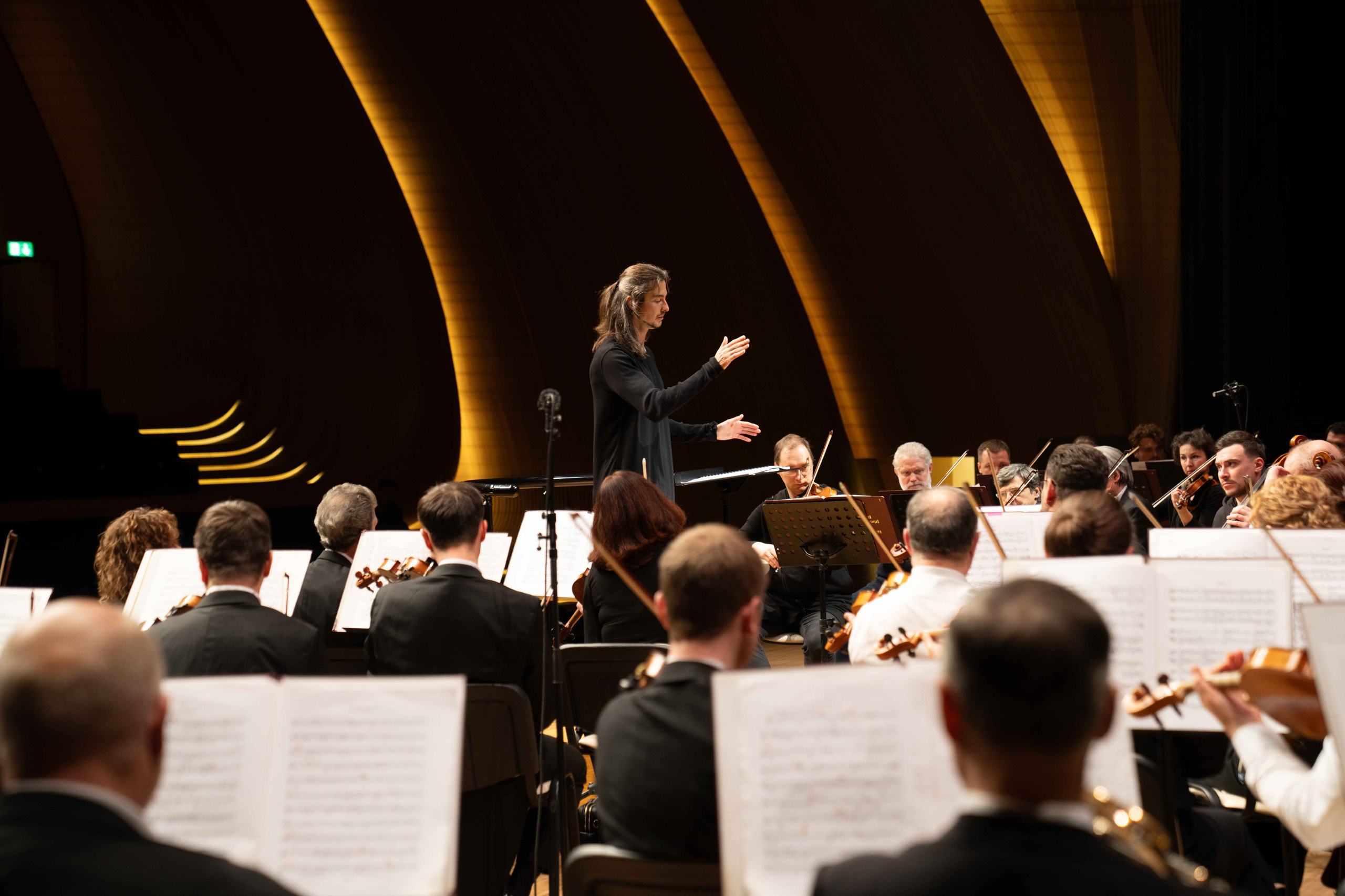 The Tchaikovsky Academic Grand Symphony Orchestra in Baku. Wedding&Event photographer Ismail Rzayev in Baku