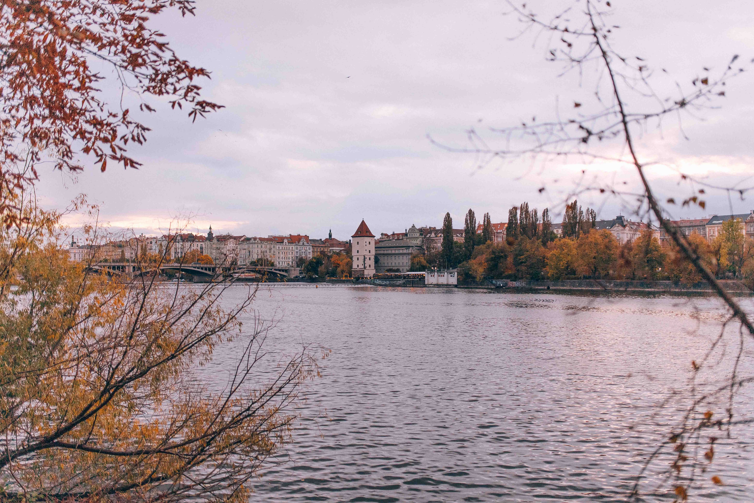 ZOFIN PALACE (PRAGUE). Wedding&Event photographer Ismail Rzayev in Baku