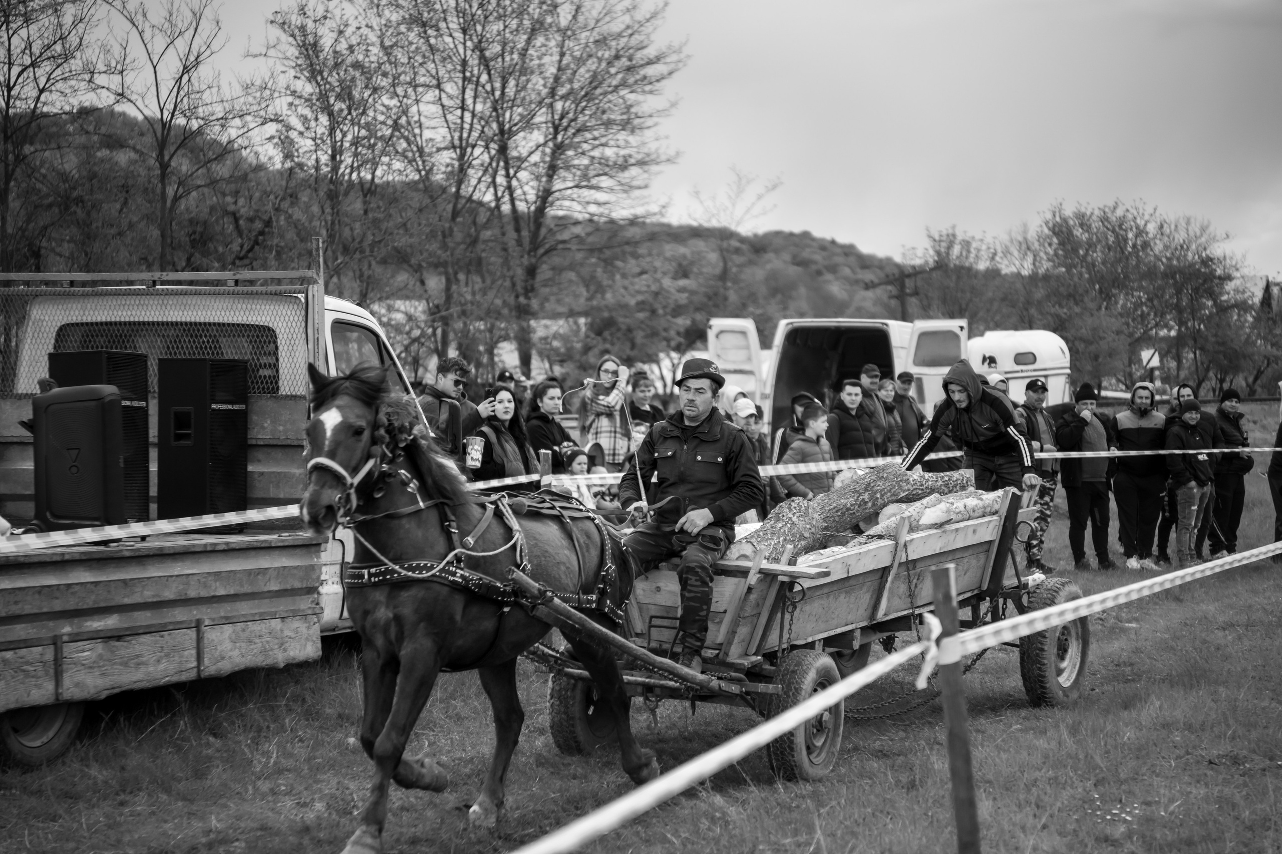 Concurs Ecvestru Vărbilău ediția a 4-a. Mihai Alexandra Events