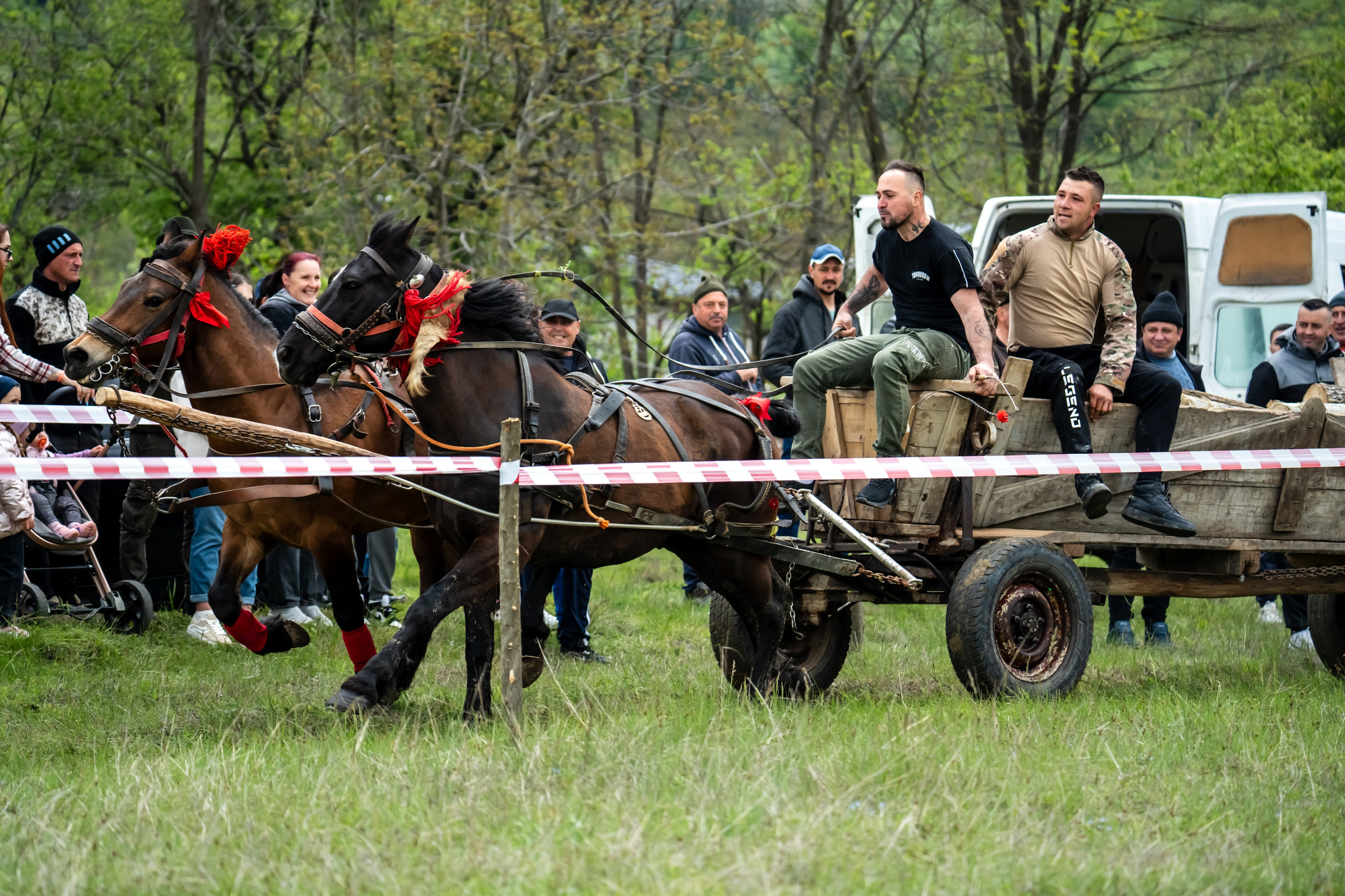Concurs Ecvestru Vărbilău ediția a 4-a. Mihai Alexandra Events
