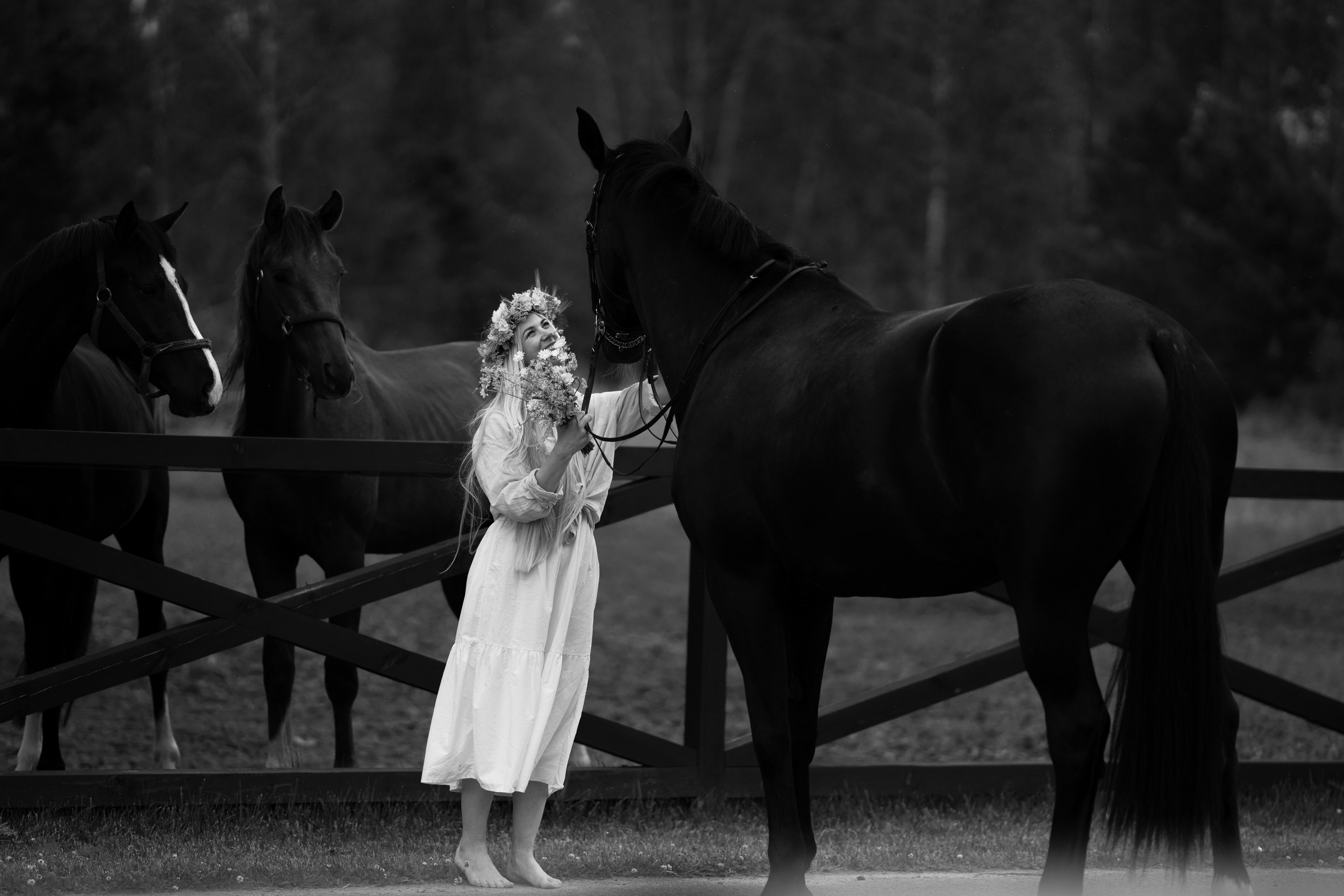 Equestrian art. Sports and portrait photographer in Riga