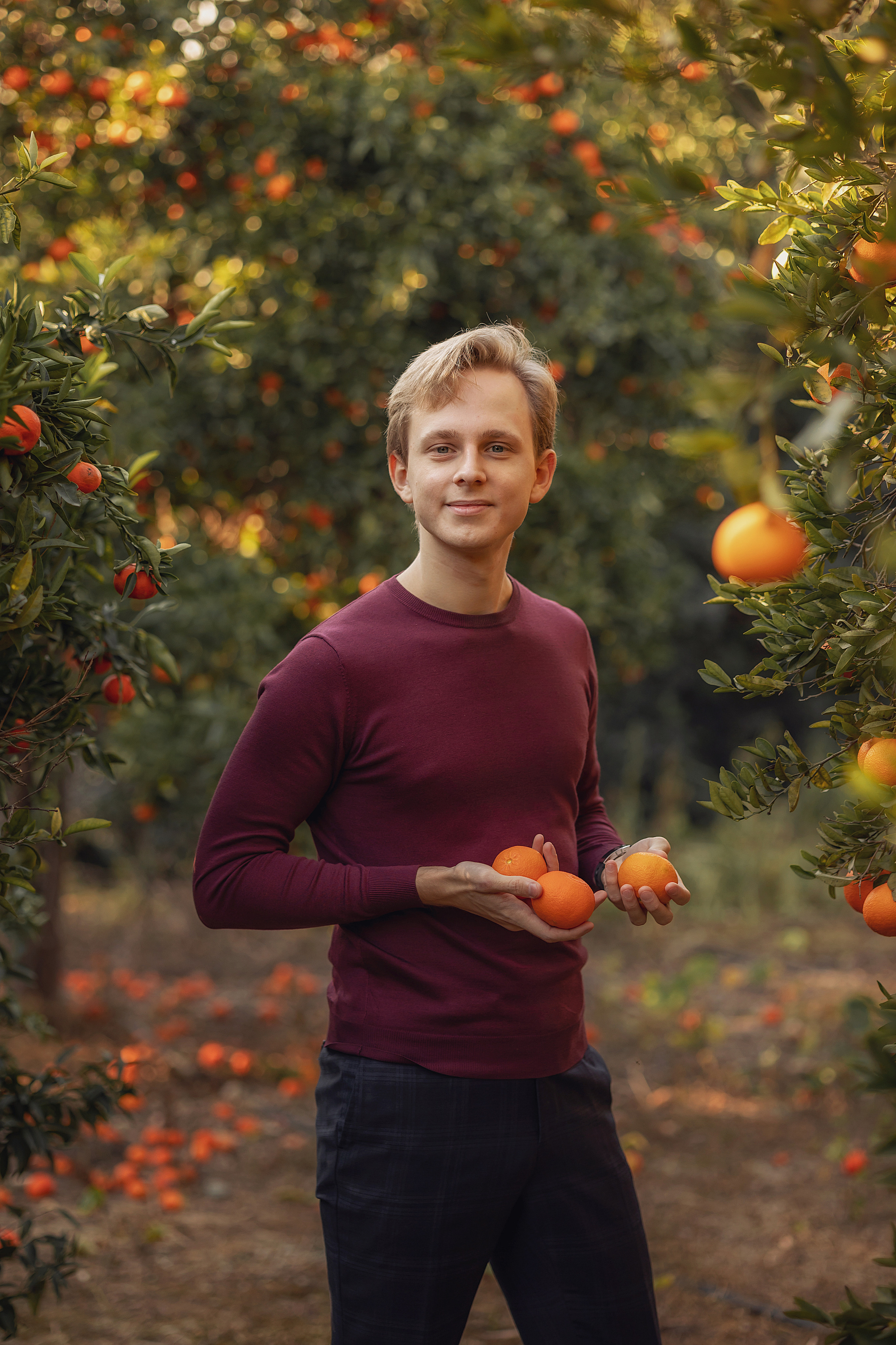 Photoshoot in mandarine garden. Photographer in Cyprus
