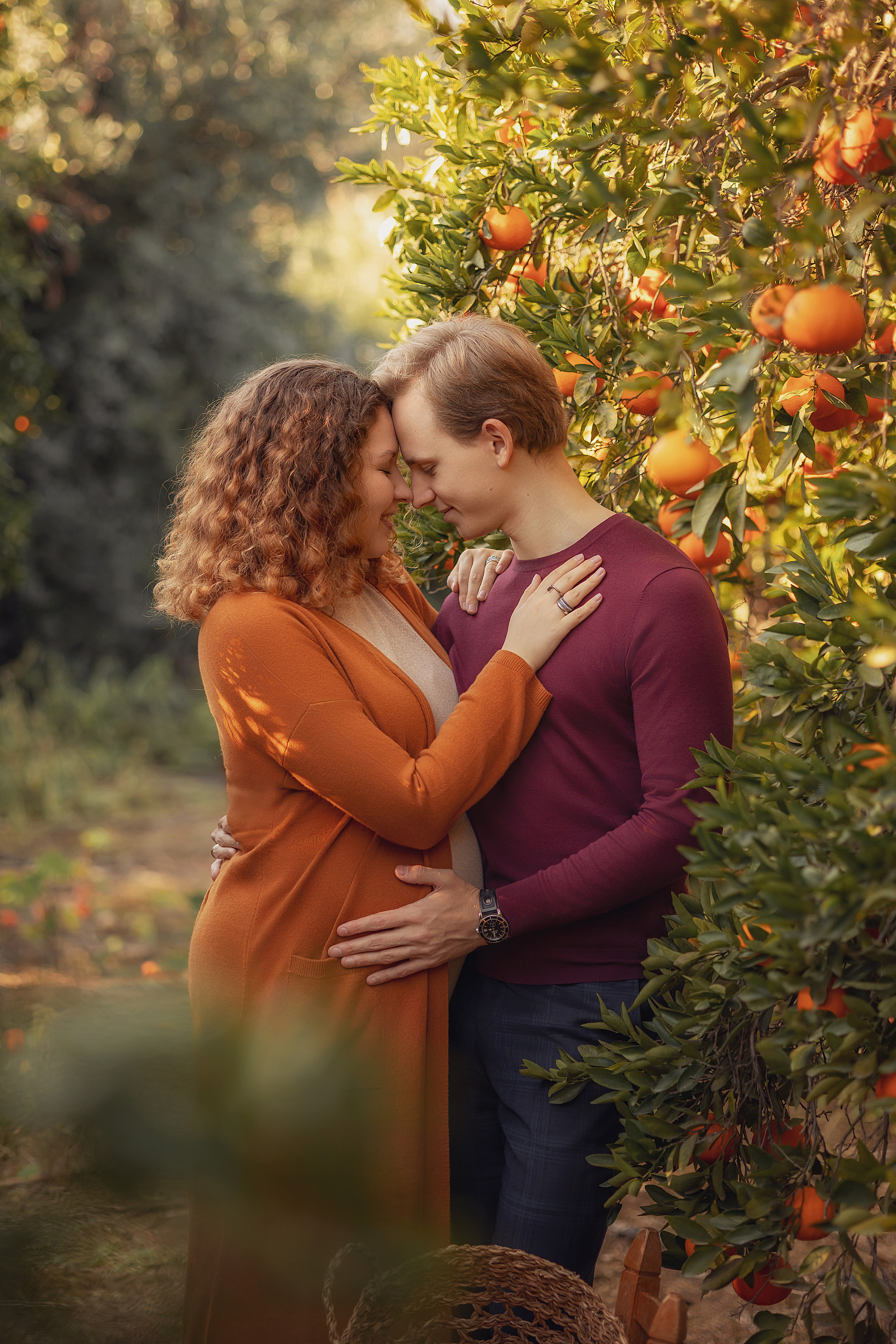 Photoshoot in mandarine garden. Photographer in Cyprus