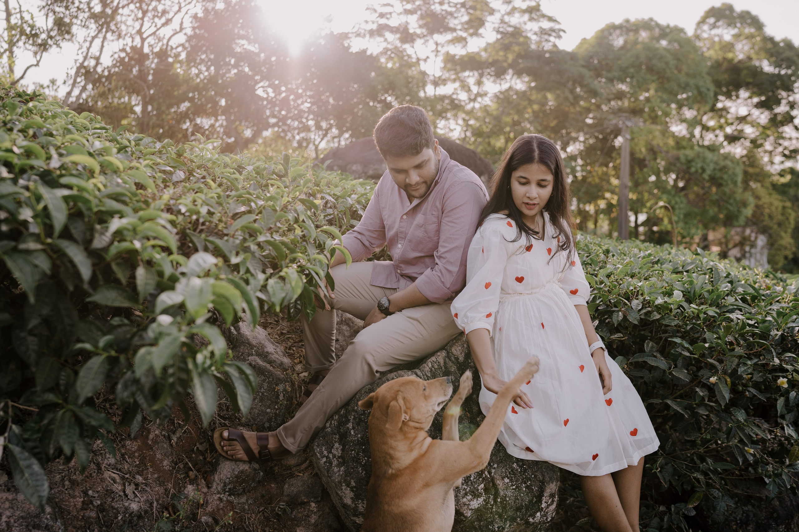 Greeshma & Vignesh. Agam Vizha