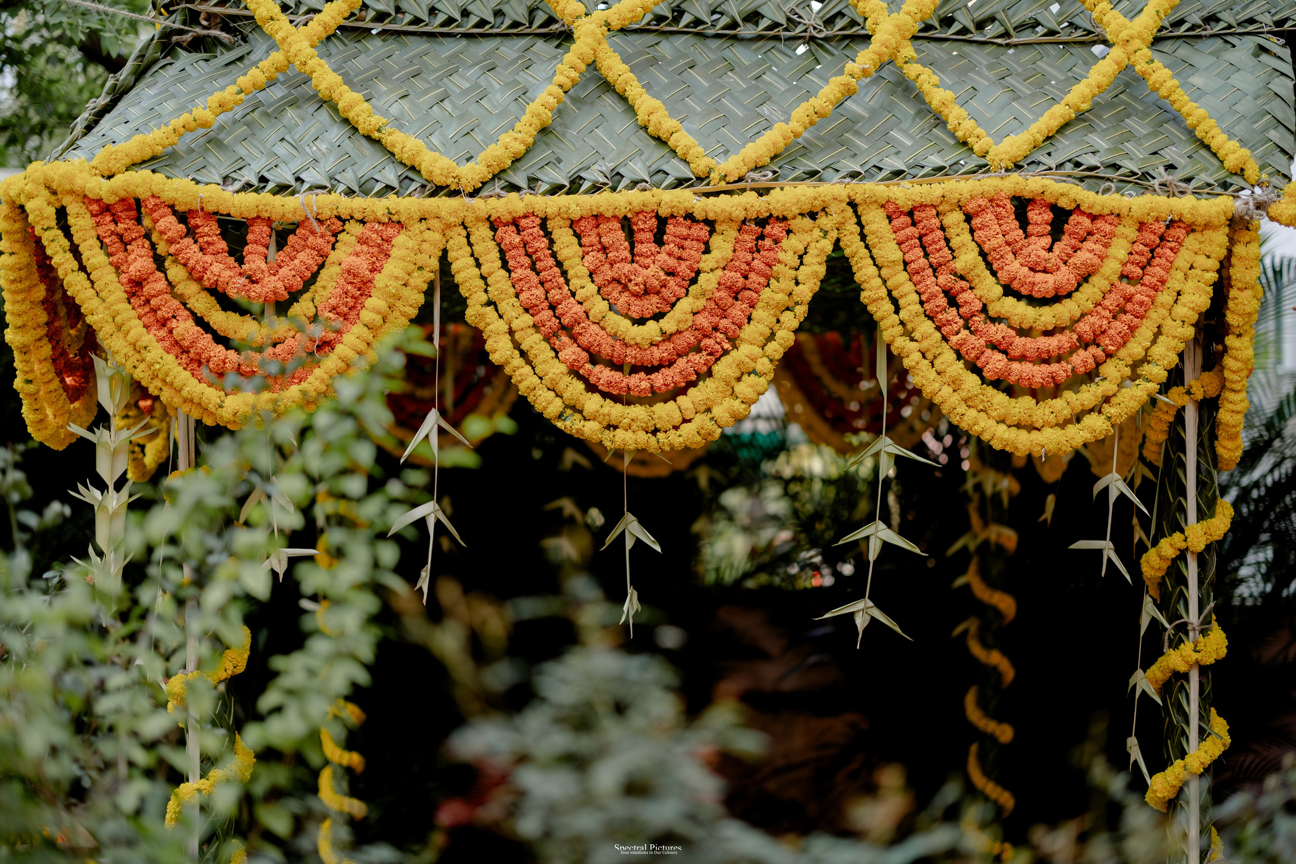 “Bob’s Bar to The Big Day — Starring Amulya & Aditya”