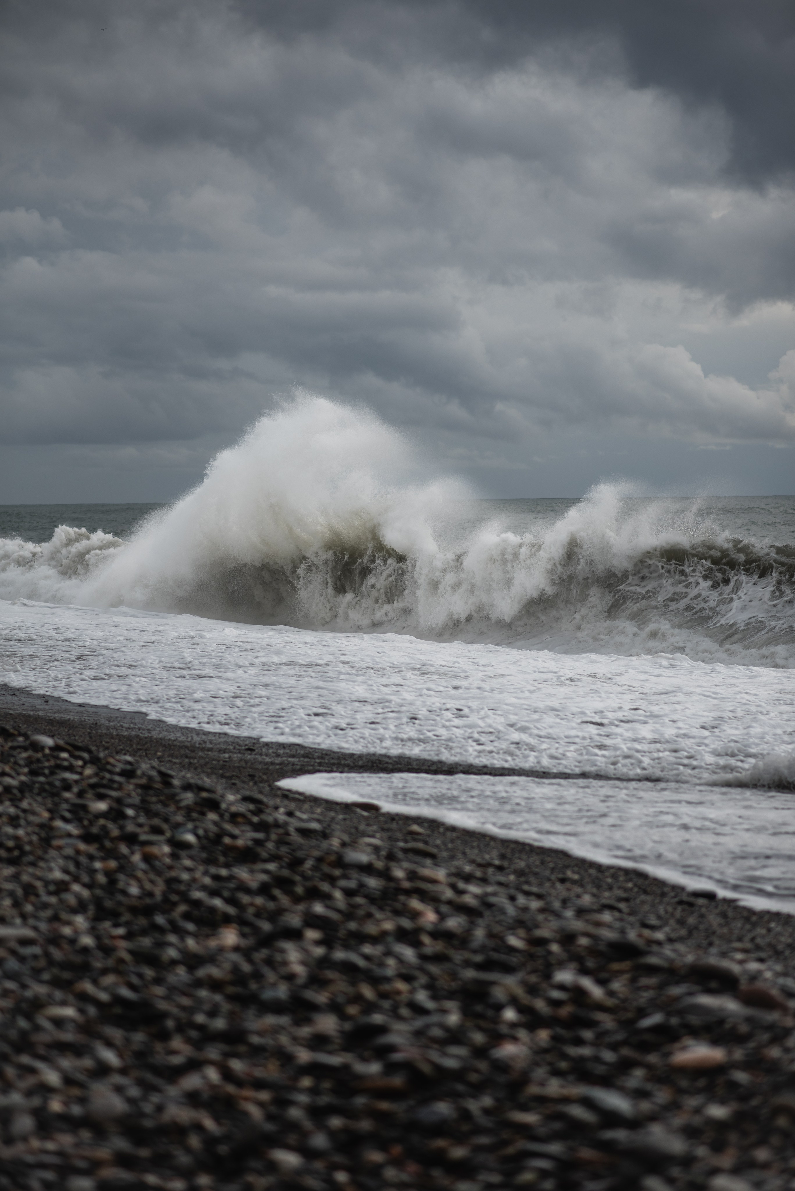 Lifeguard. Ekaterina Verbitskaya. Photography