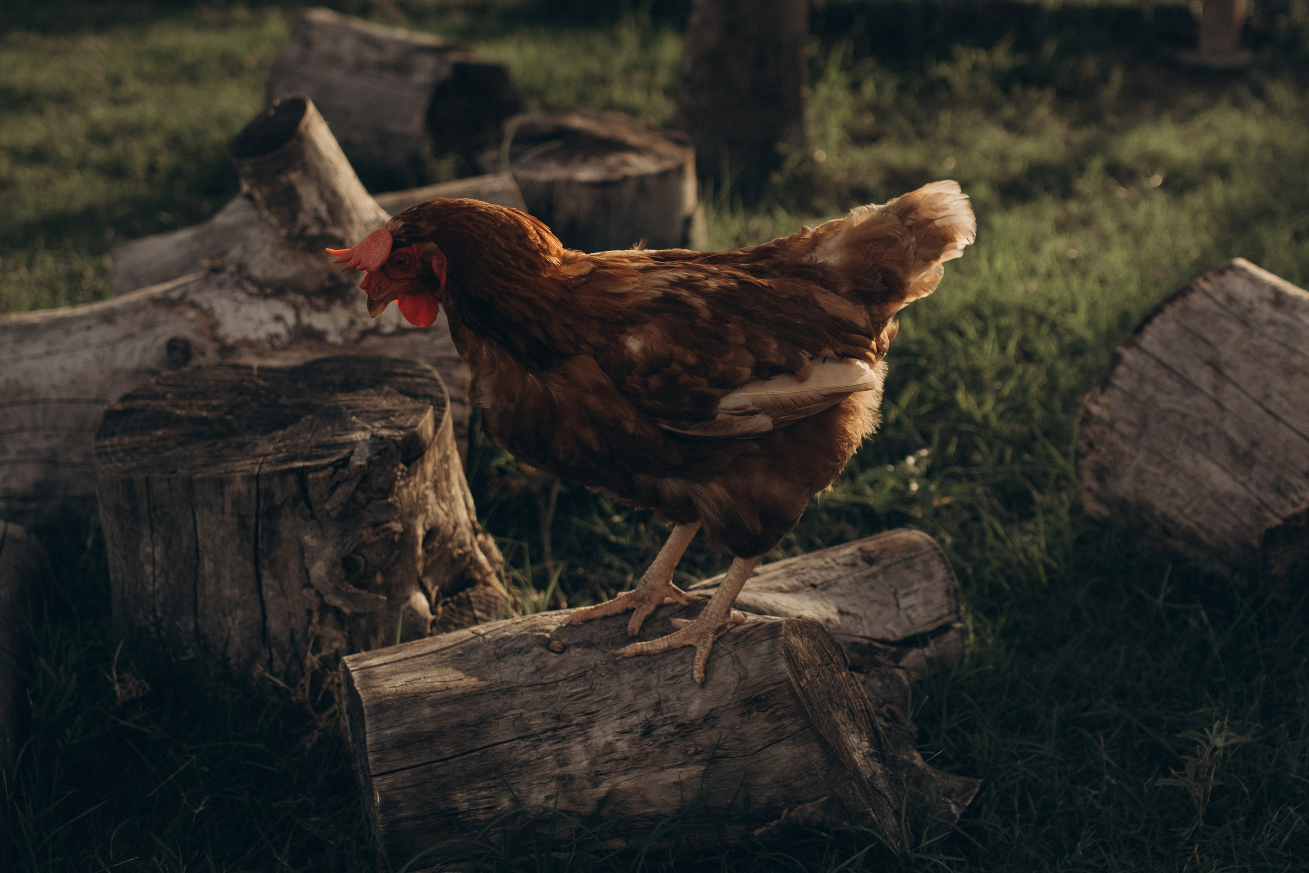 Summer Moments. Lens Captures Life