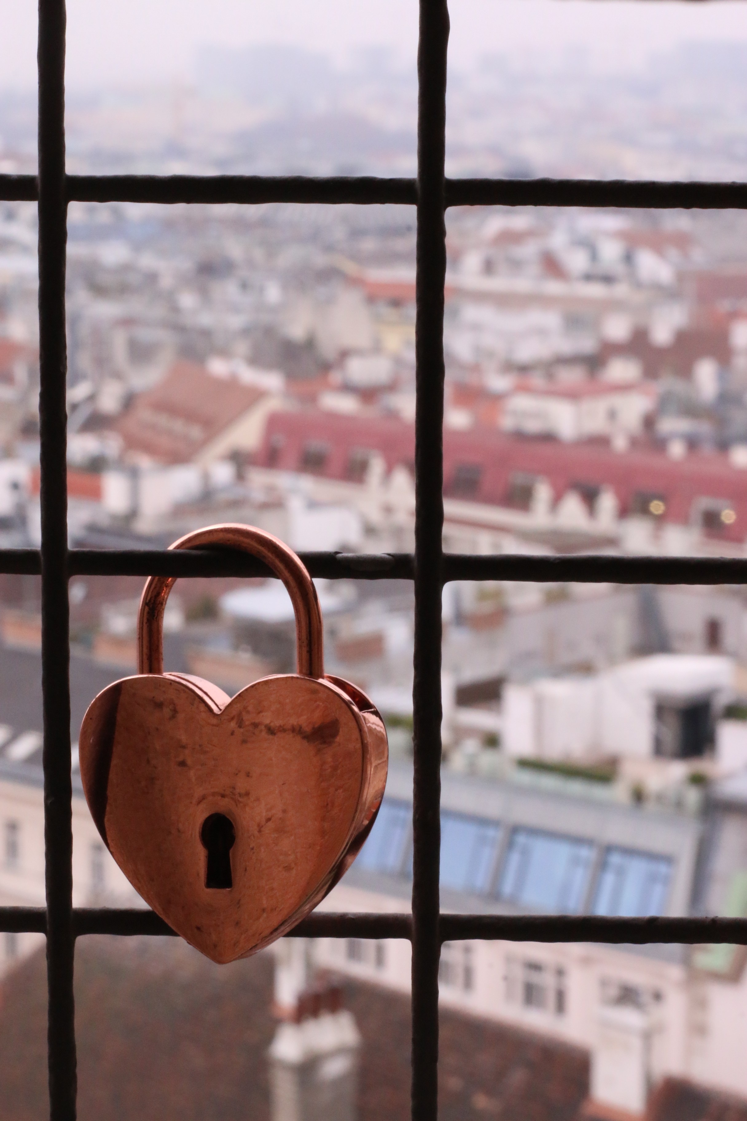 Vienna, Dec.19. Kseny Kolesnik Photography