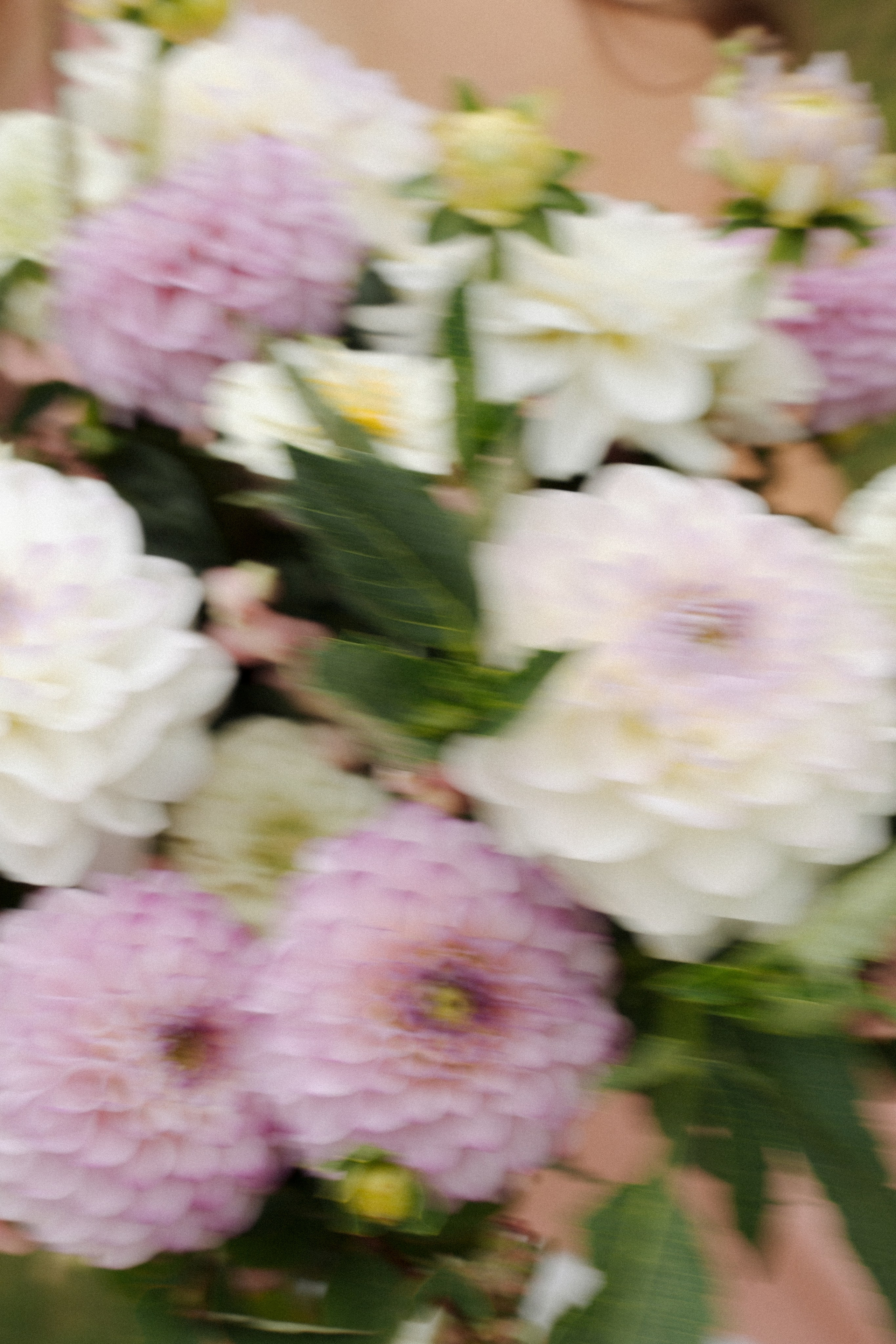 Vanda és dani album. Csilla visuals