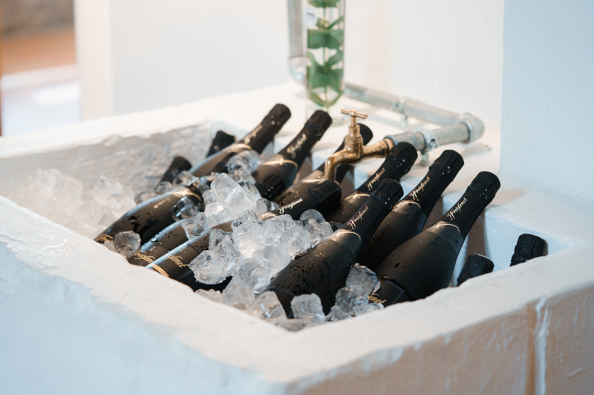 Sini ja Otto, hääkuvaus Wohl Gård, Kirkkonummi