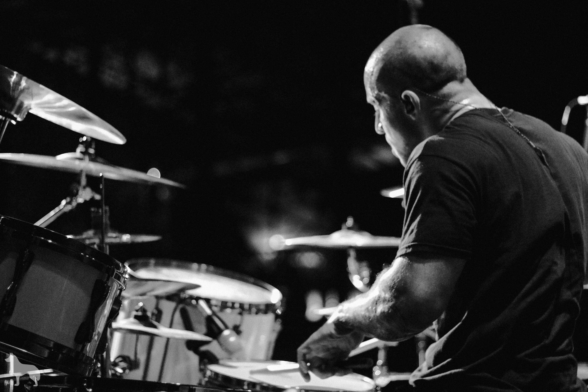 Dl. Produtora de videos