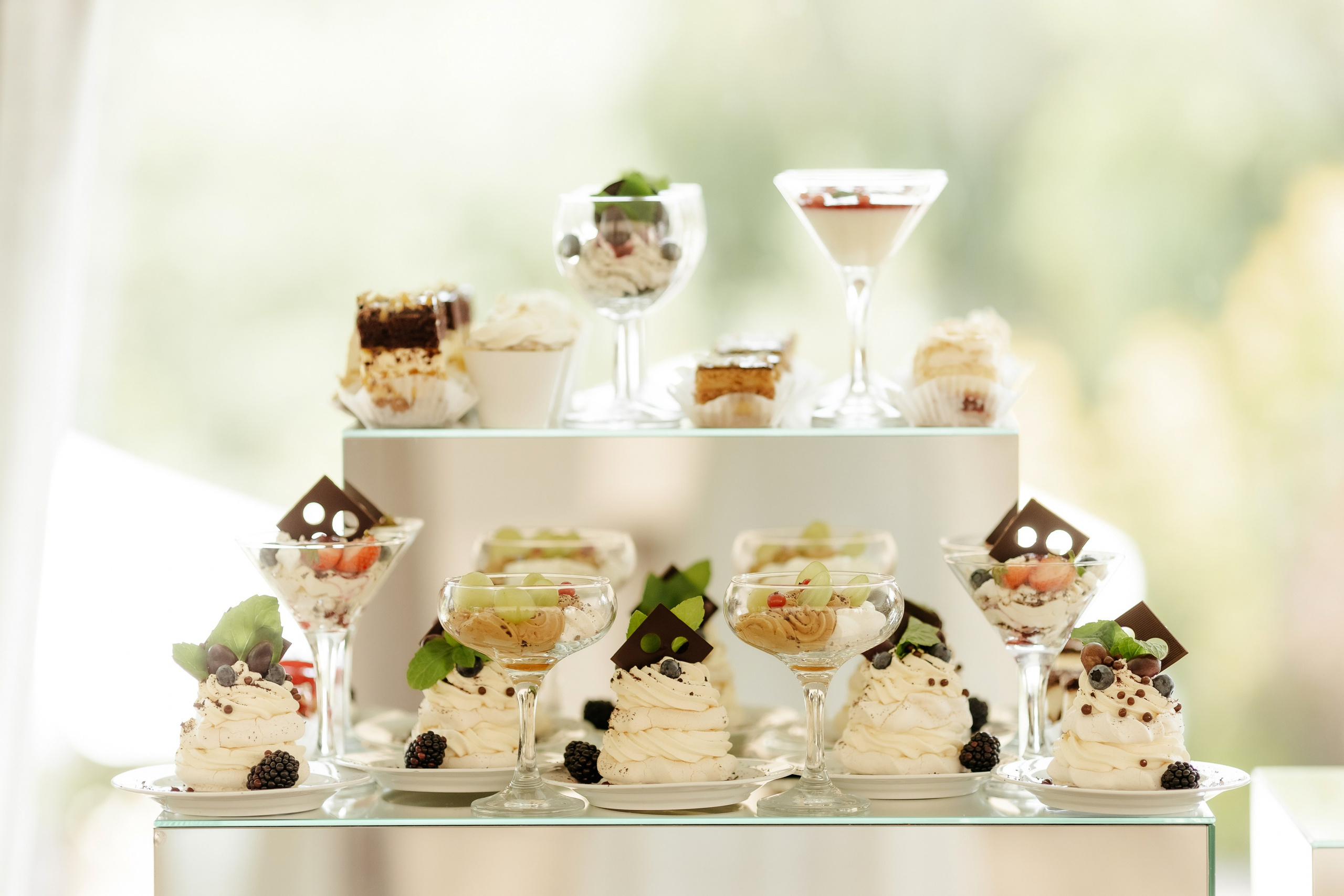 Аліна та Давид. Ірина Терещук