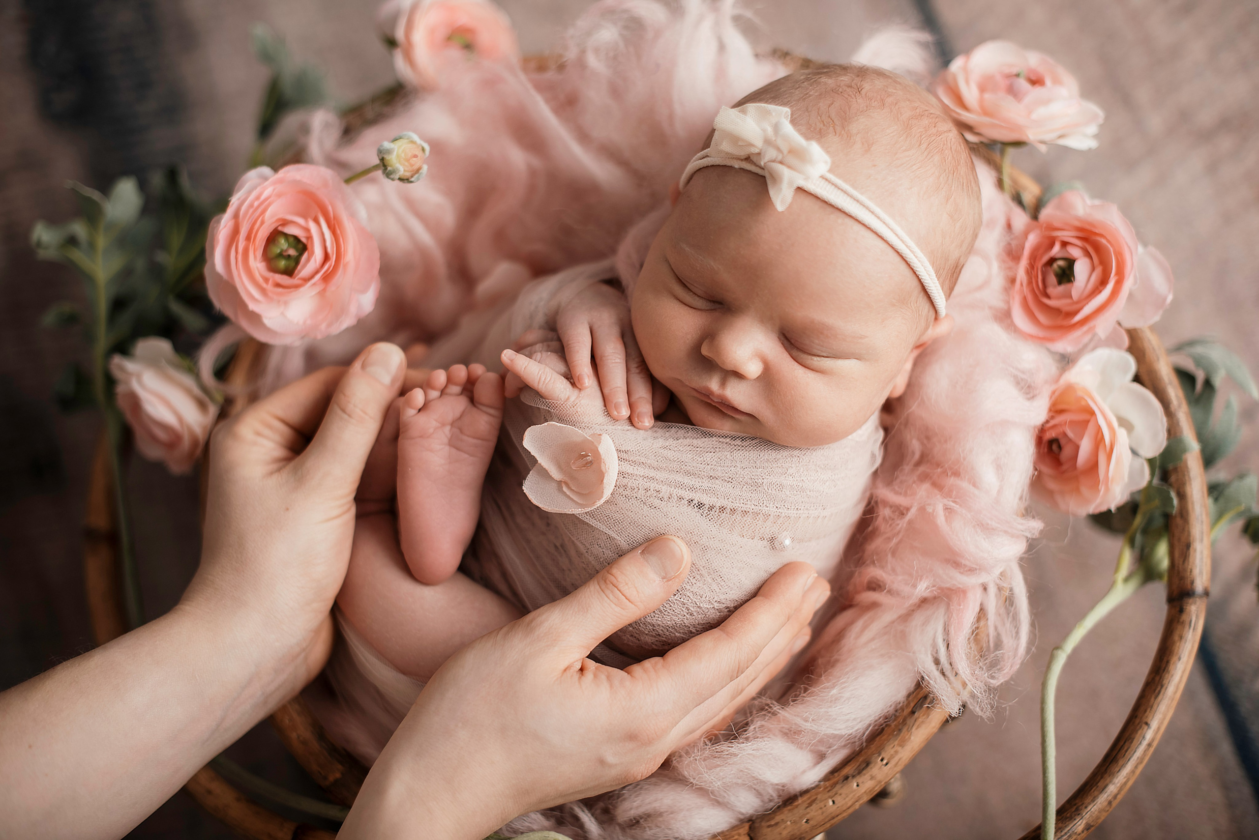 Felicity Ann. Newborn, pregnancy, family photographer in New Jersey