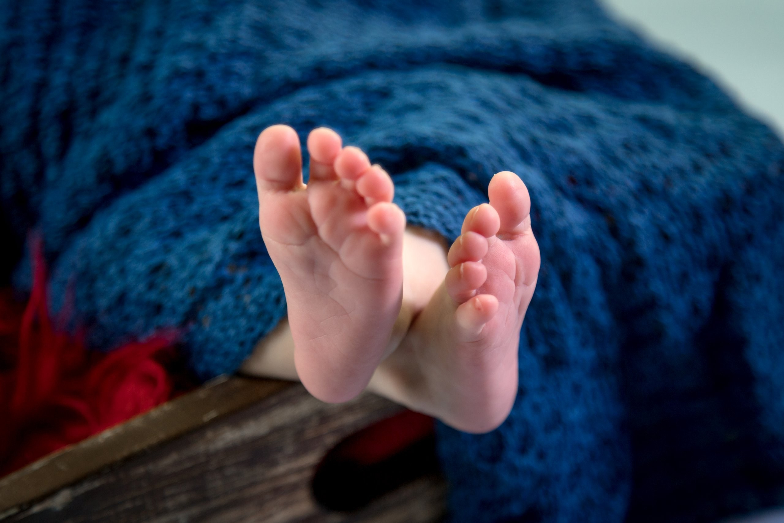 Bernard — 21/12/2019. Luiz Medeiros Produções