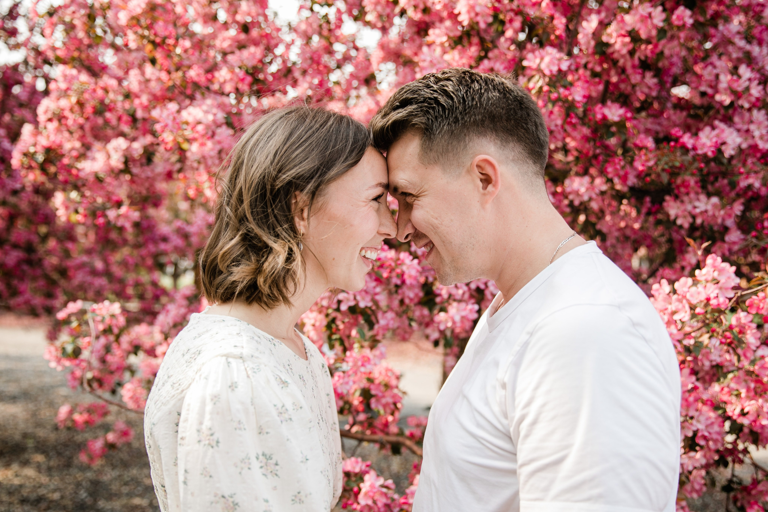 Pitchers Family Photos — Cherry Blossom. Fotografía accesible en Calgary