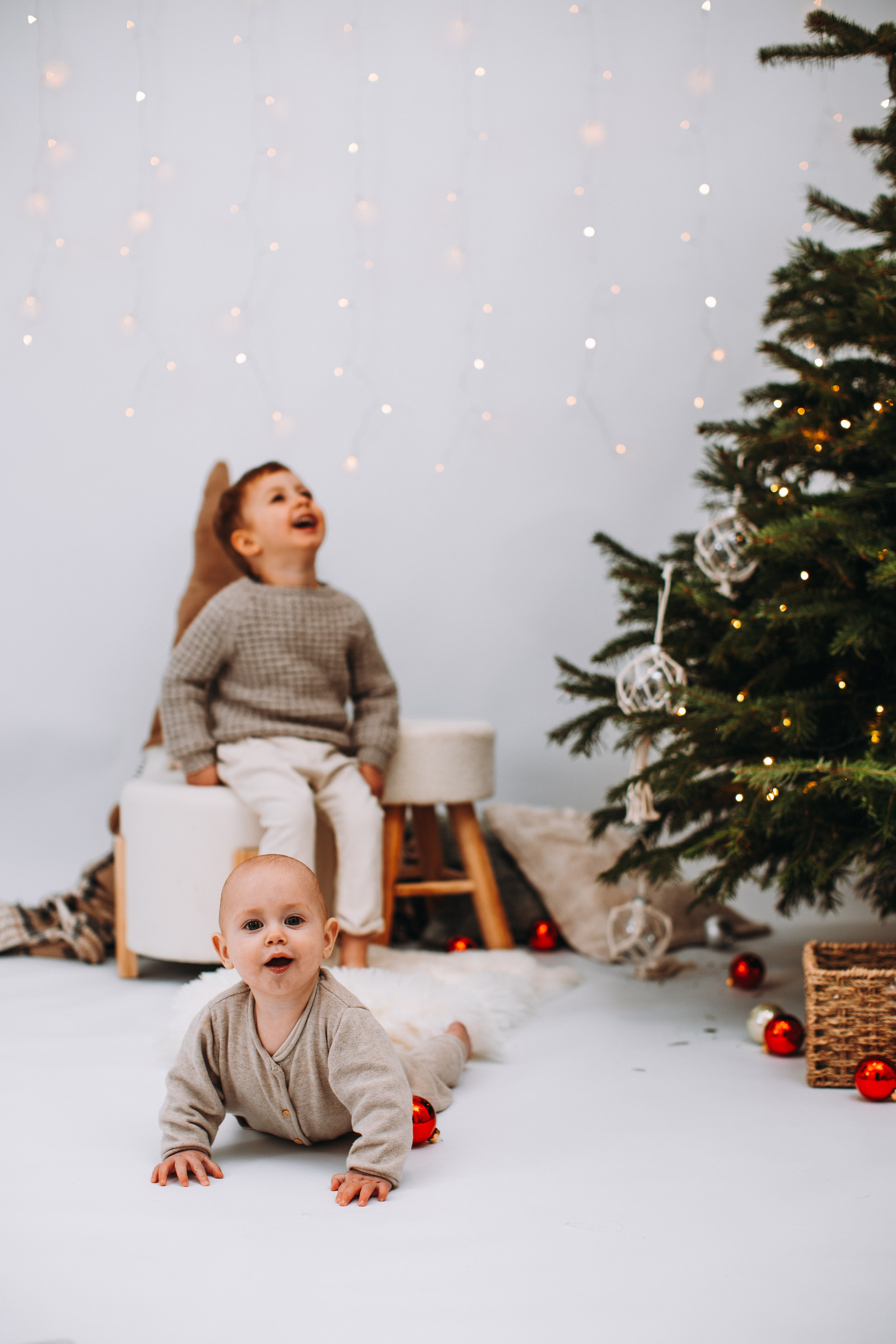 Weihnachtsshooting. Dienstleistungen