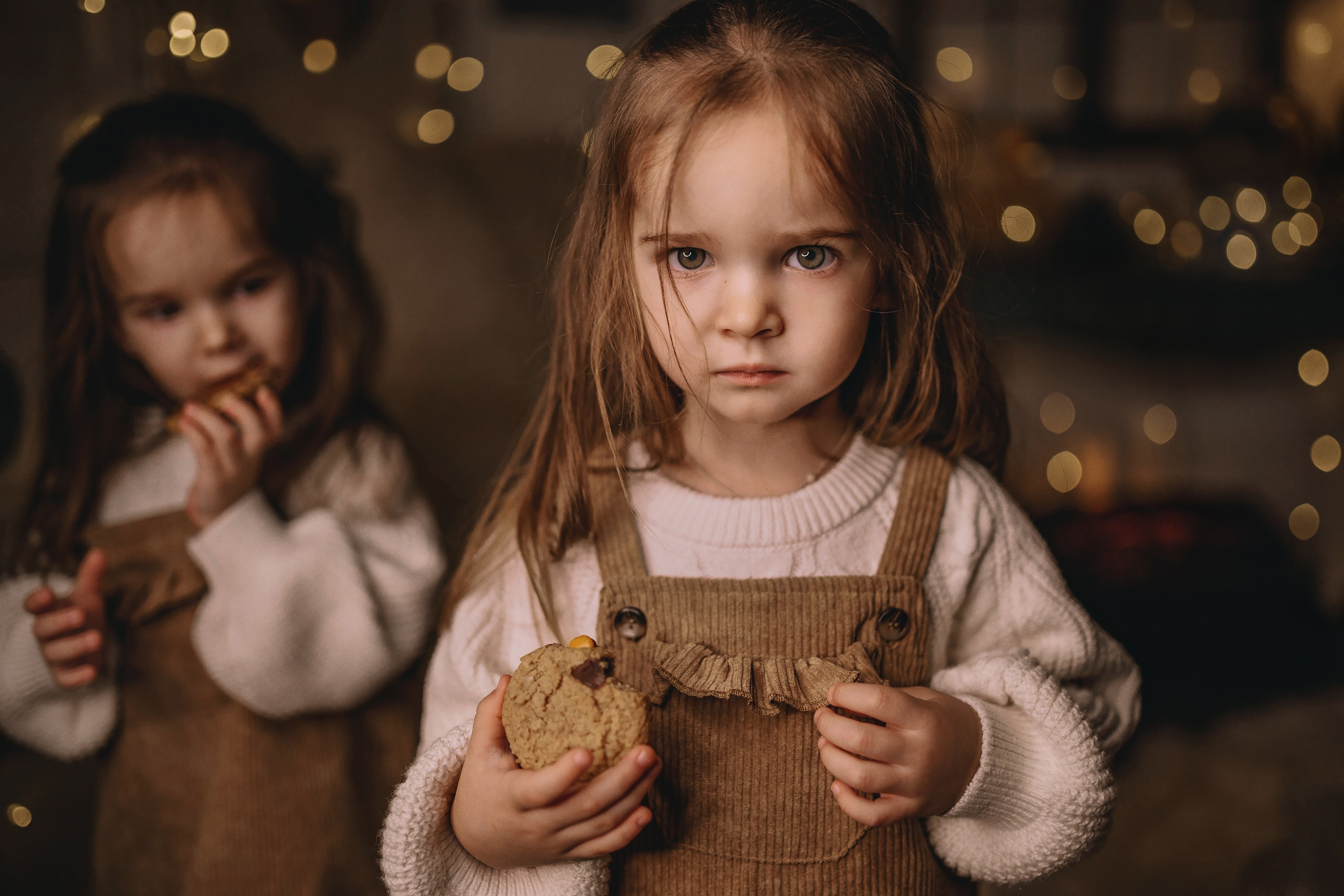 11.26.2025 Christmas Photoshoot. Wedding family event photographer in Chicago Nick Yushevich