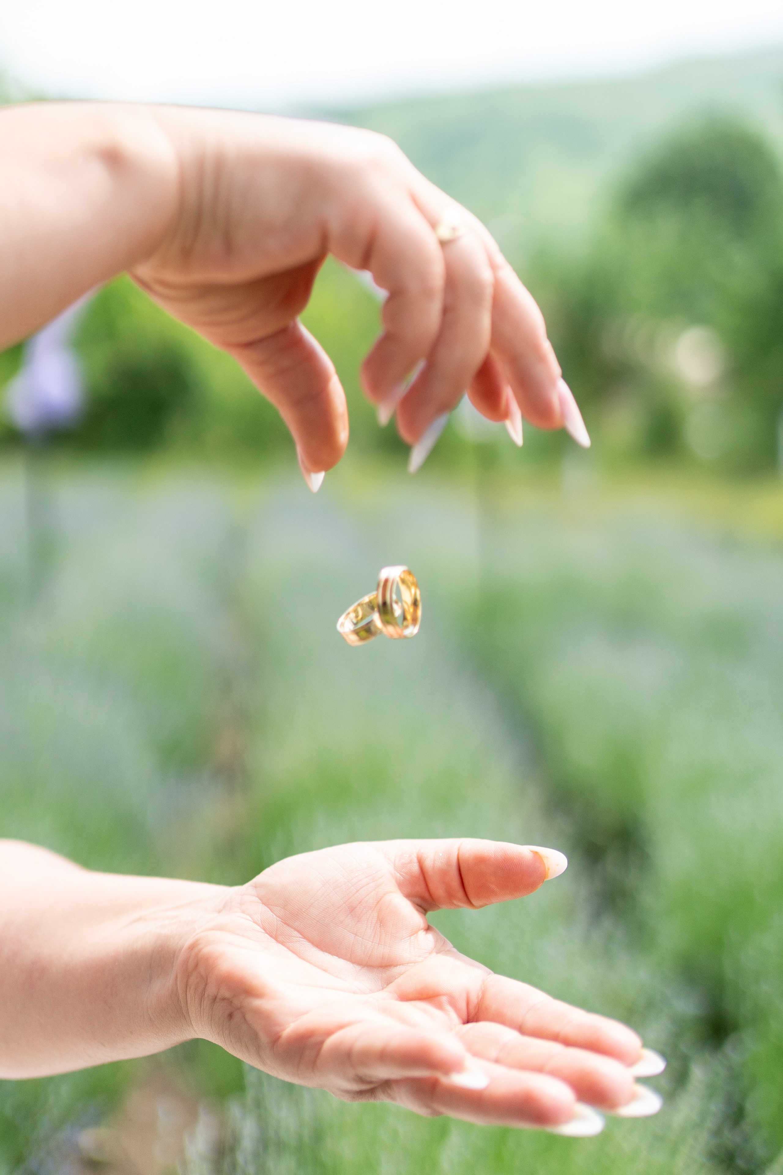 Dana & Ionut. Fotograf evenimente, fotograf nunta, fotograf botez