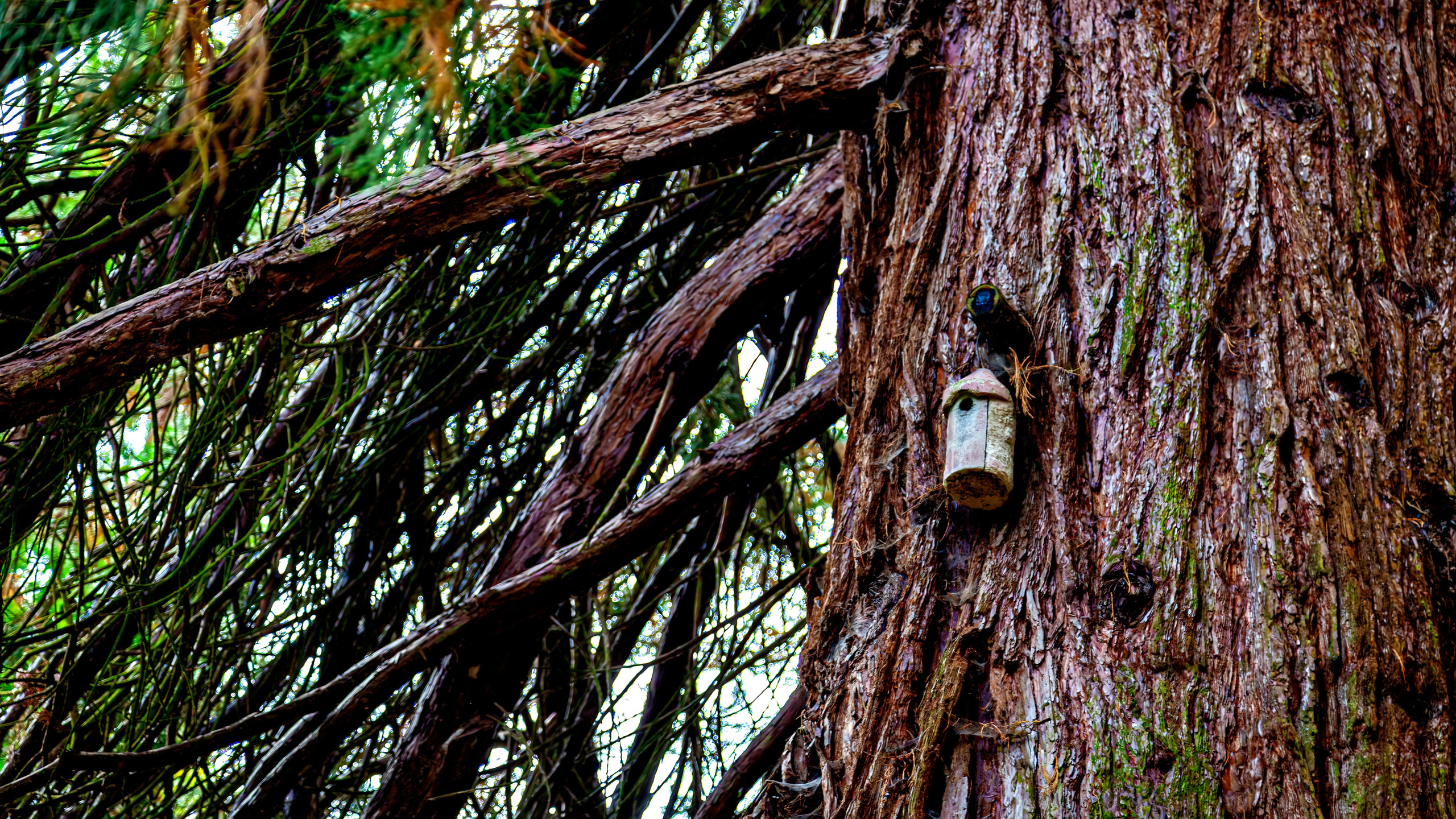 187.Mainau.Germany.24.9.2024. Путешествия в формате 360......