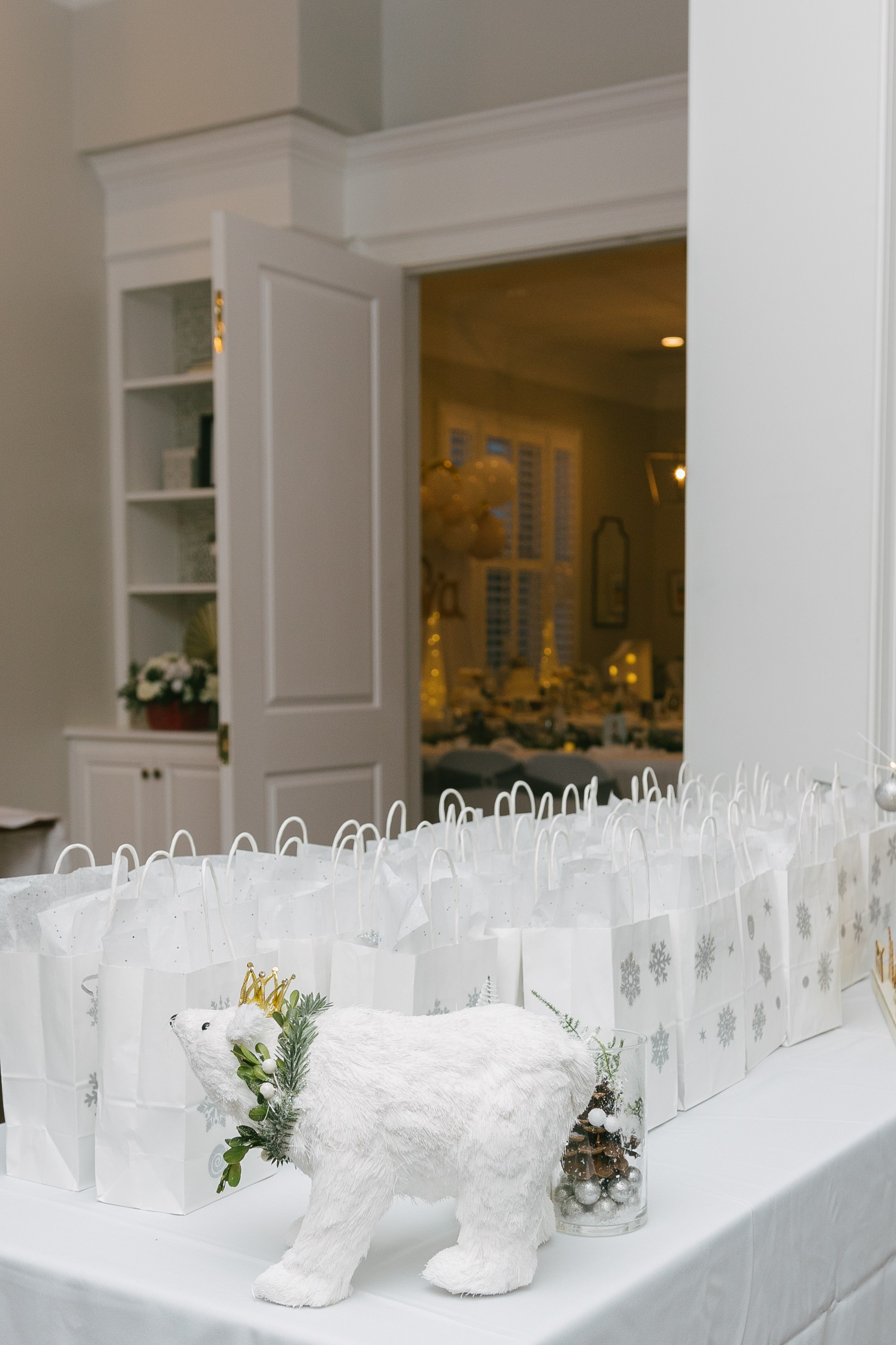 Twins Birthday. Sara Eulalia | Virginia Photographer