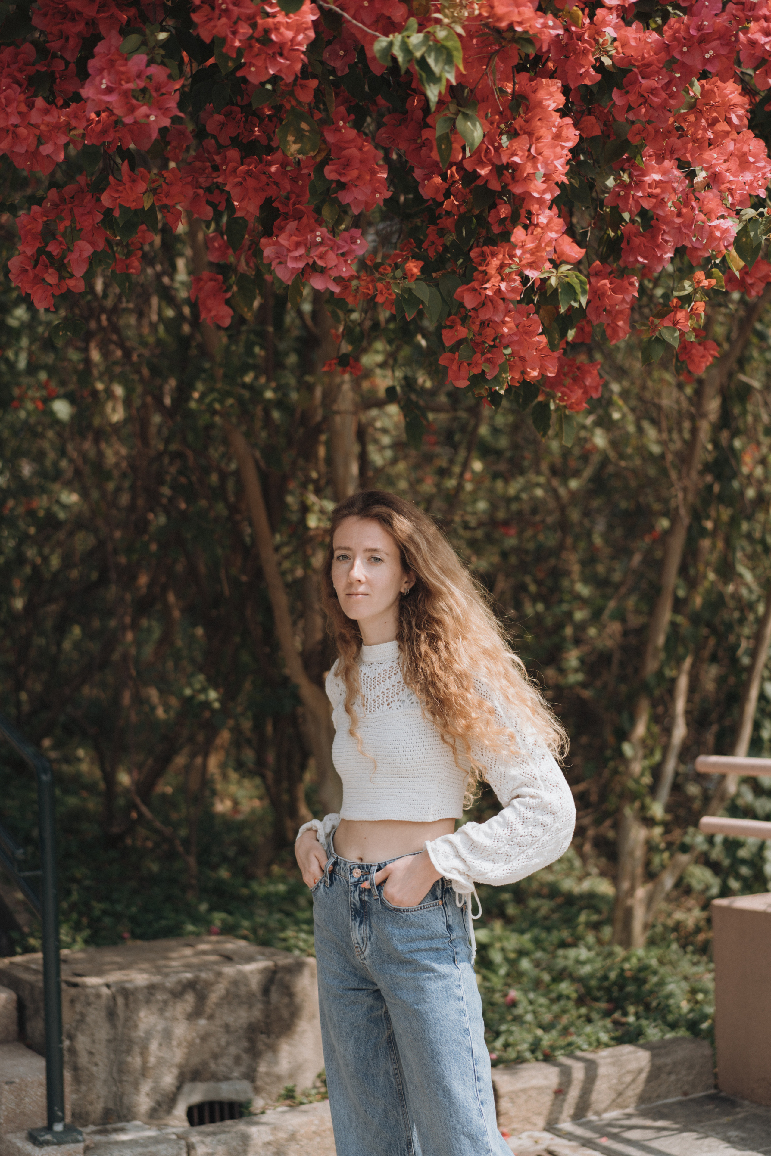 Kowloon Park in the Early Morning. Evgeniia Pavlova Photography