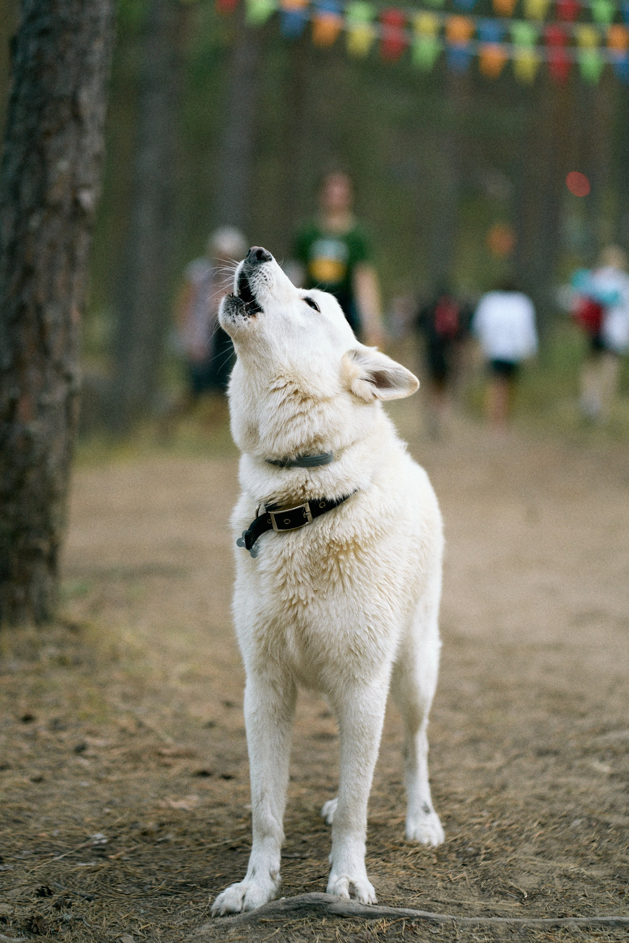 Reverse Race 2021 #cycling. Photographer Evgeniya Dovgalyuk