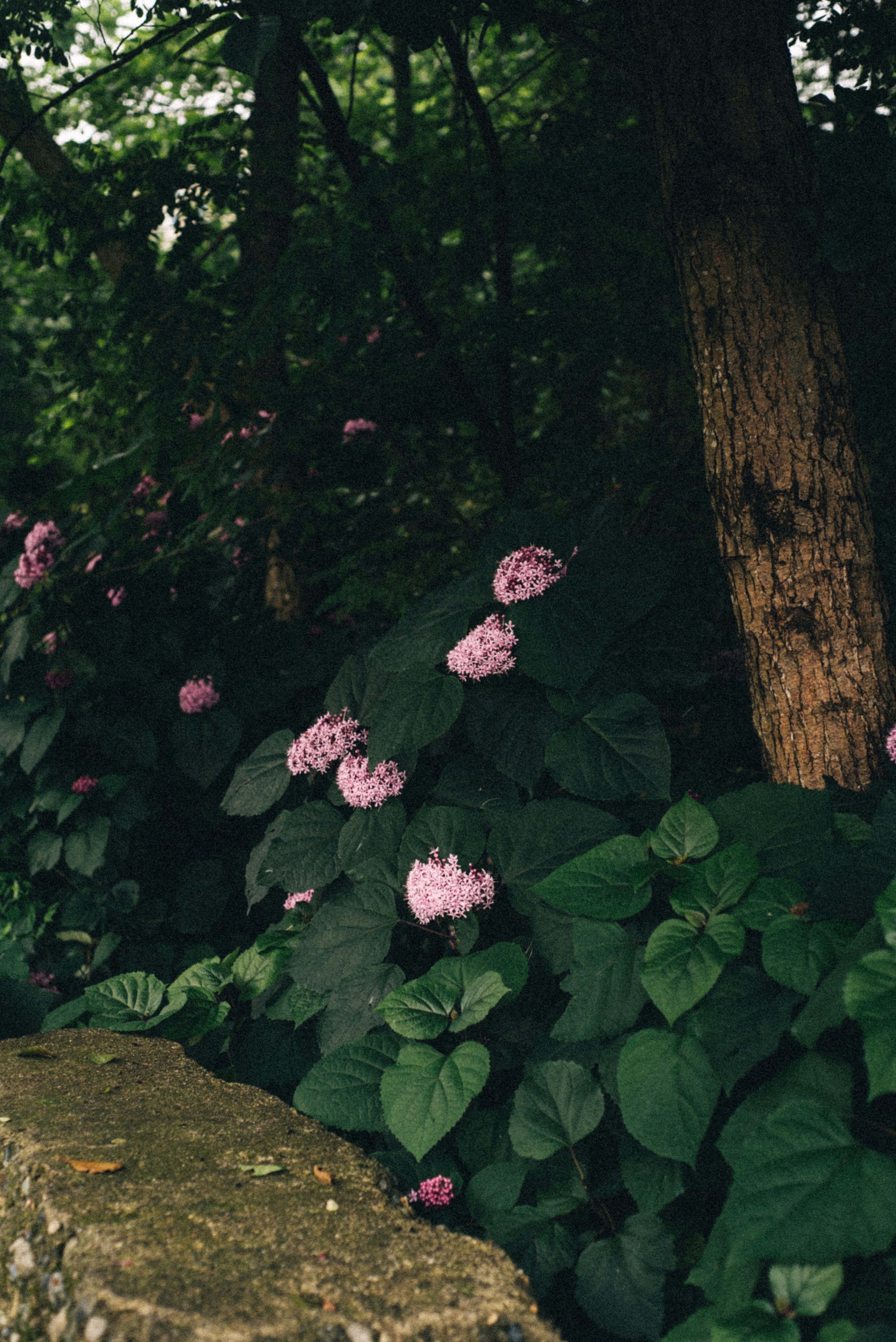 Адж. Anita_photo