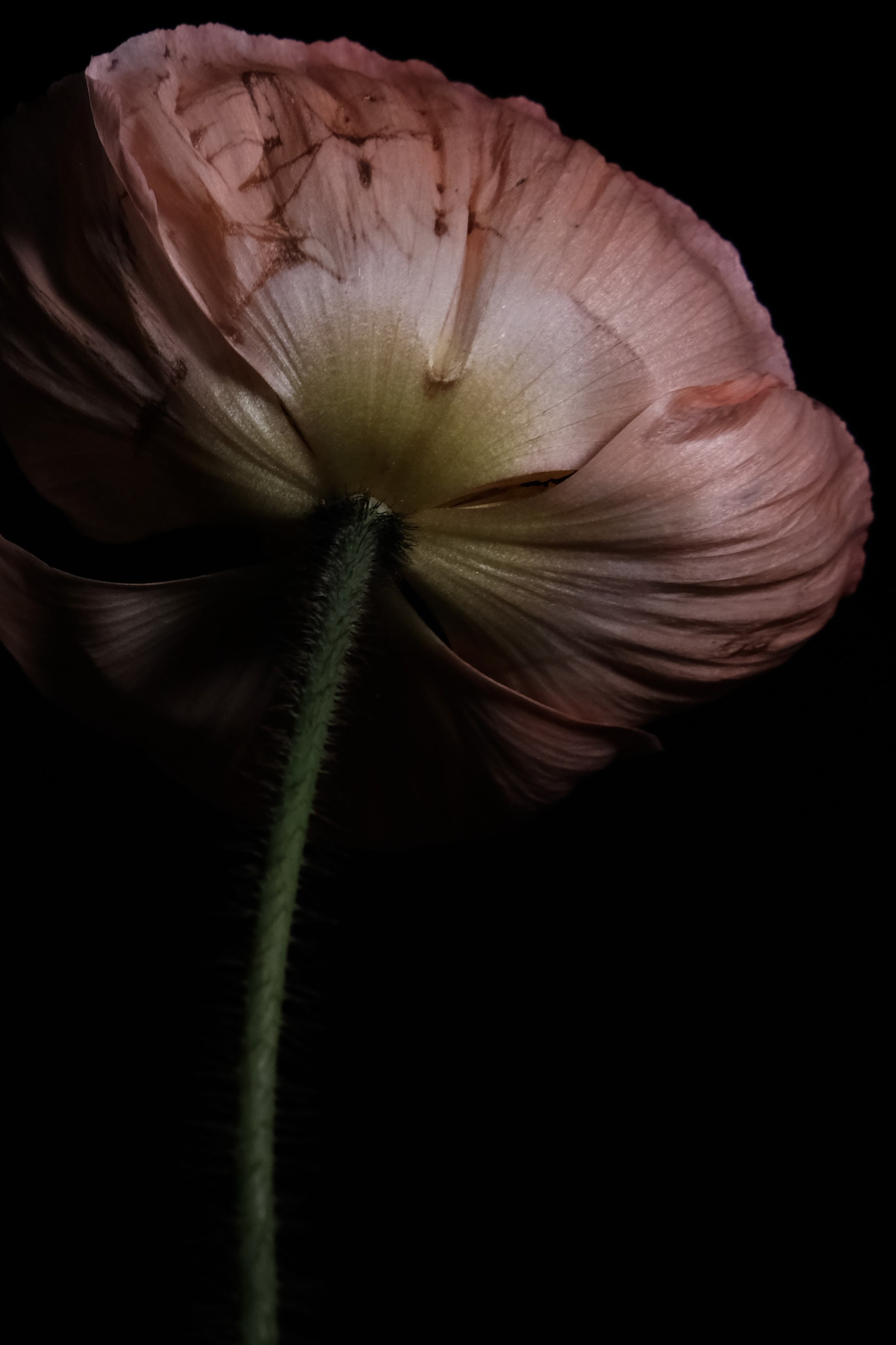 Art. Photographe à Rennes/Bruz
