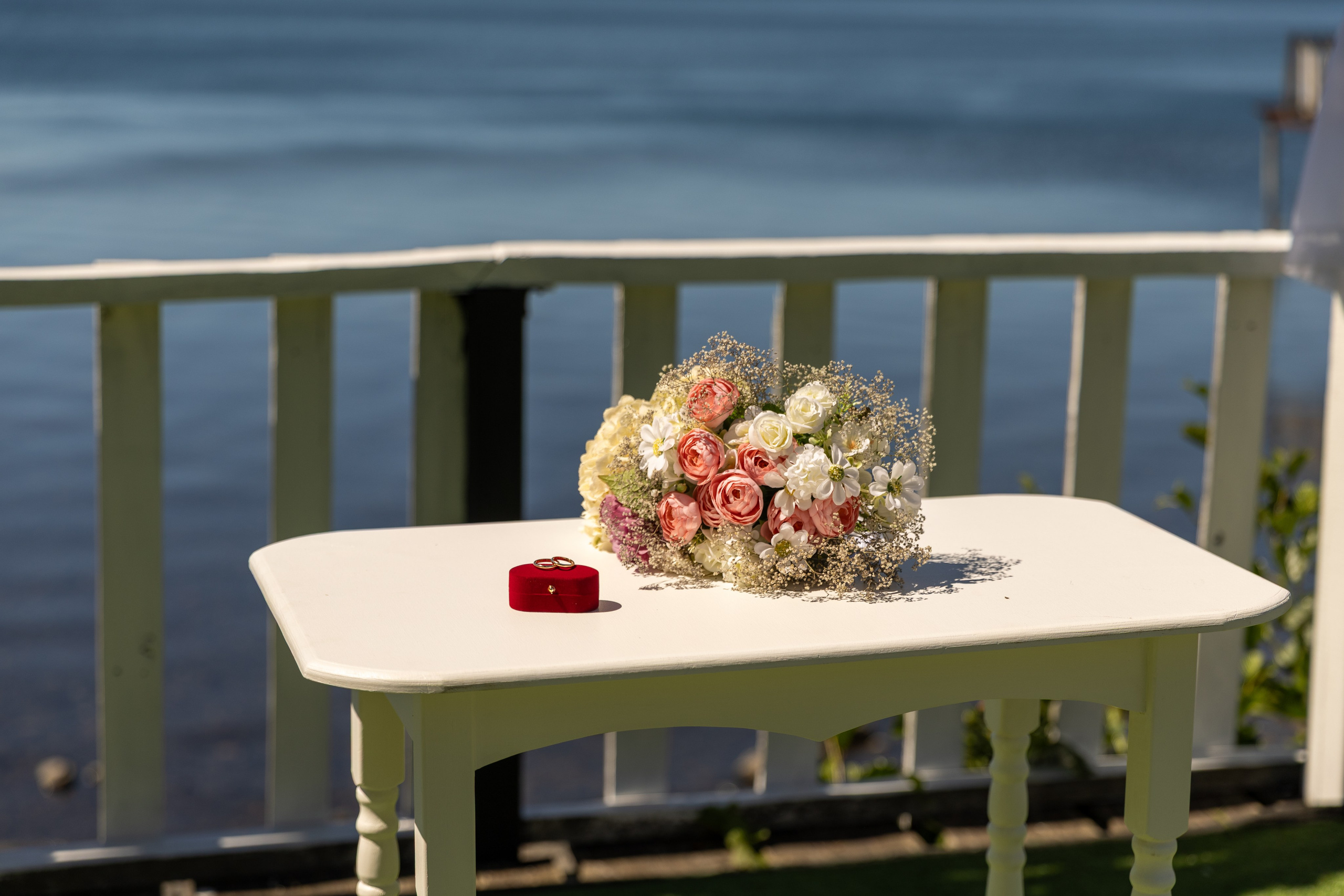 Estefanía y Alejandro. Dinka & Emilio — Fotografia e Vídeo