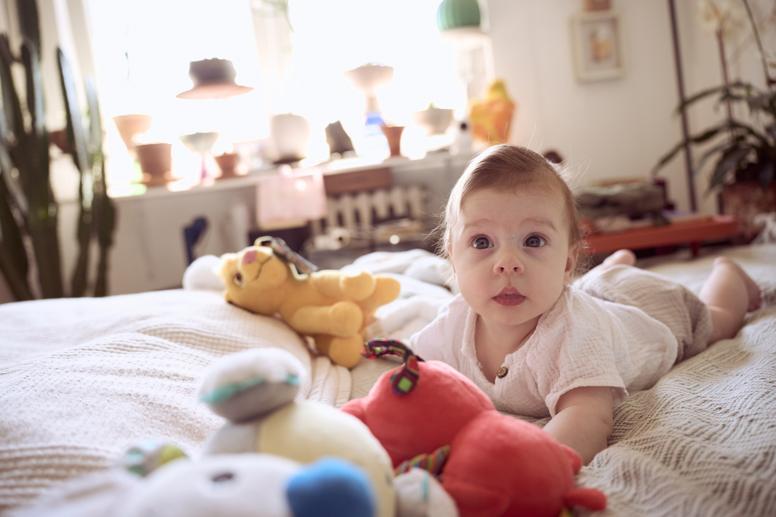 Jelena i Petar. Marko Superio | Wedding & Portrait Photographer