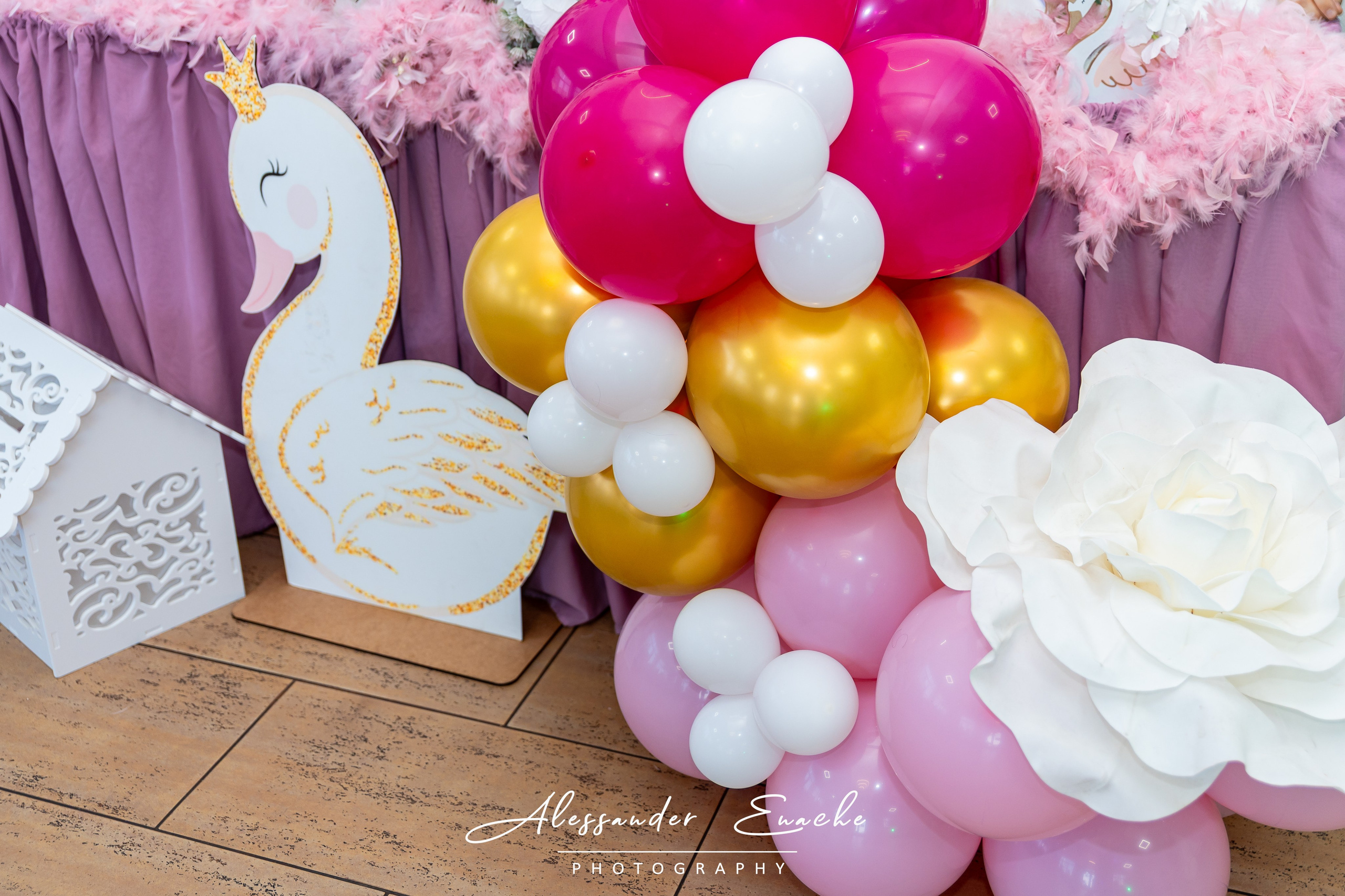 Sofia Evelyn. Fotograf prin #Piatraneamt-Alessander Enache