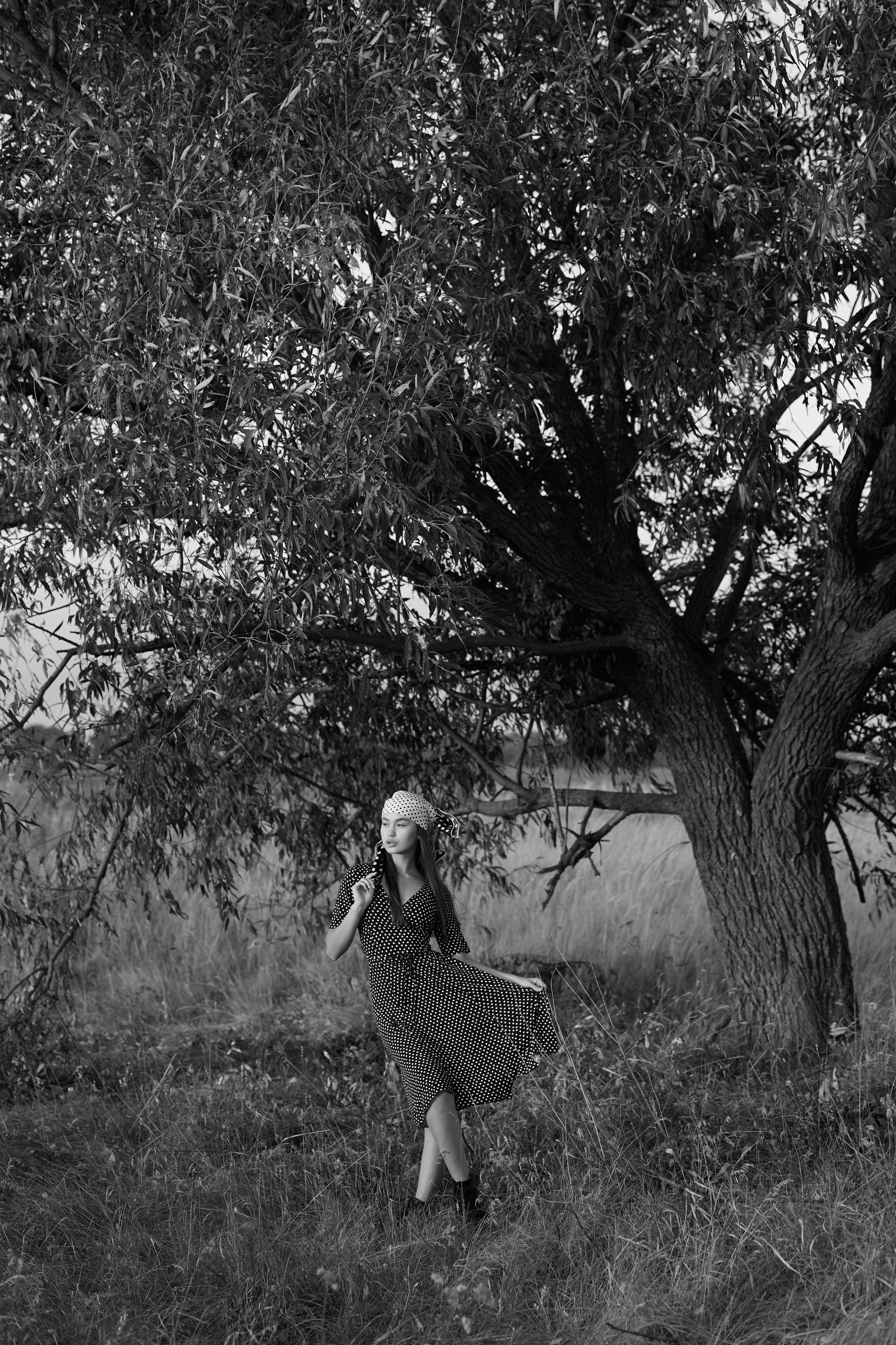 Творча зйомка «поле, світанок, осінь». Весільний та сімейний фотограф Черкас