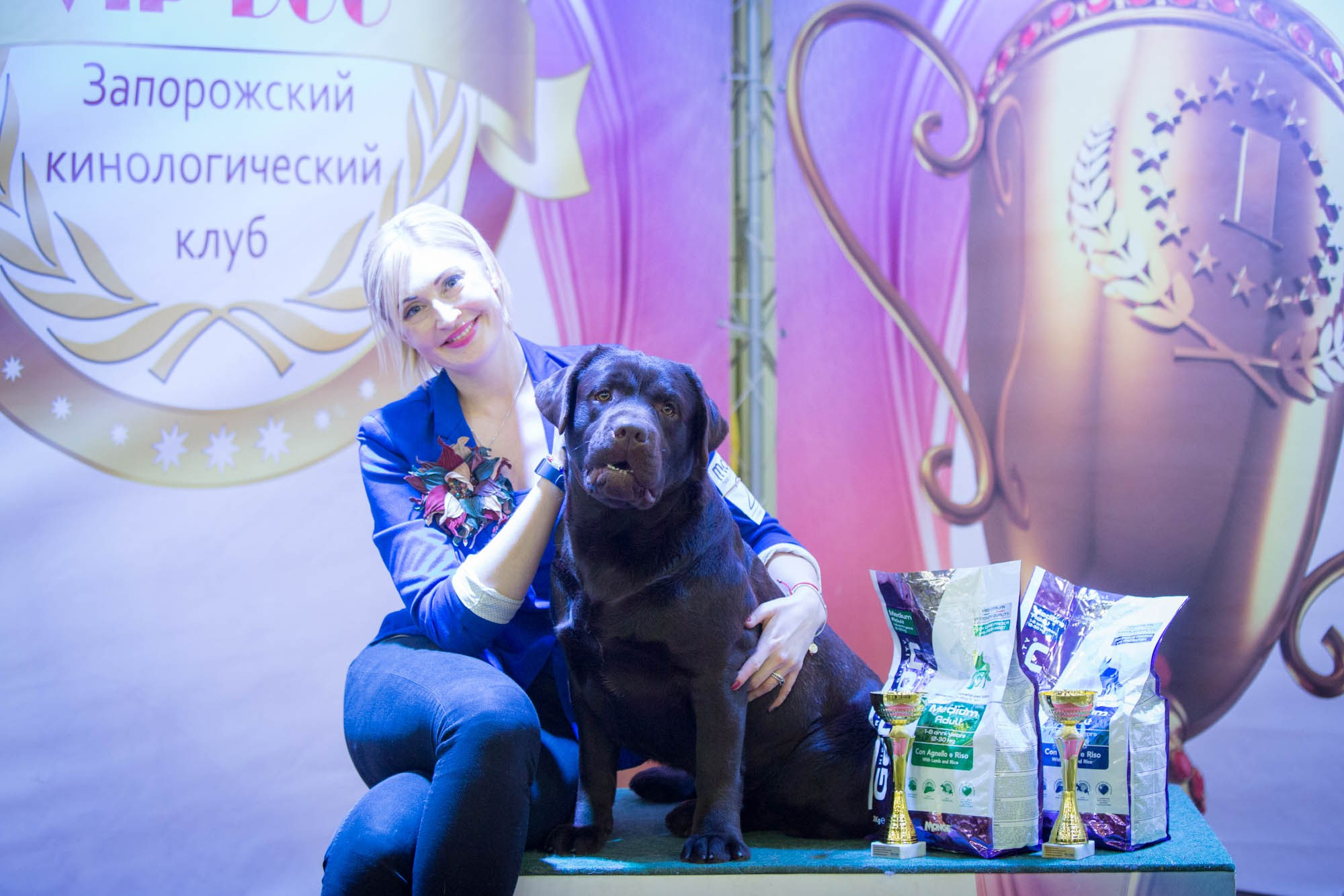 Newton. Цуценята лабрадор ретривера, Дніпро, Україна