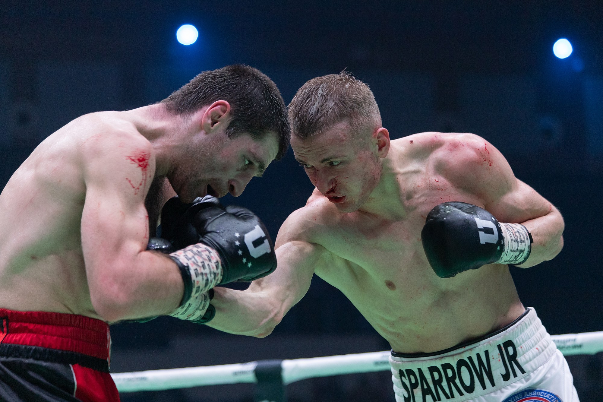 Zweites Allrussisches Boxforum. Fotofrafin in Deutschland